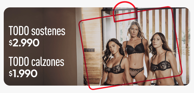 Ropa interior mujer