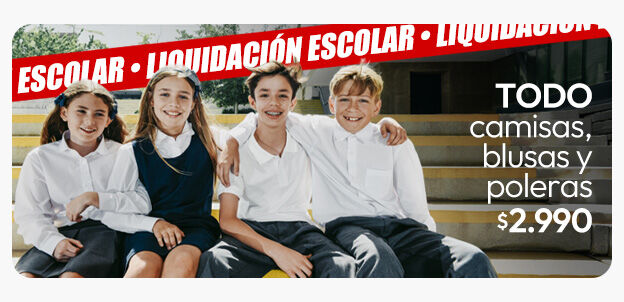 Liquidaci&oacute;n escolares