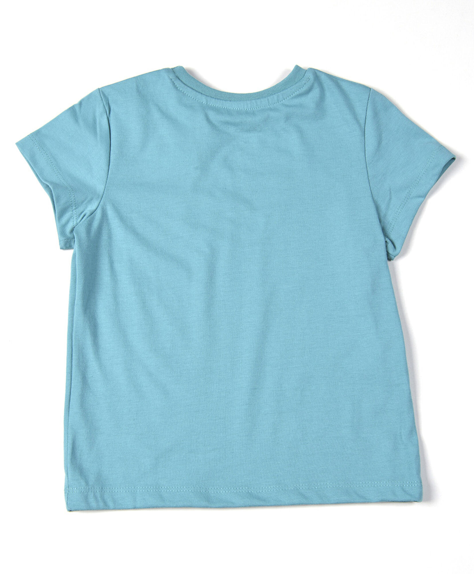 Polera bebé dibujo dinosaurio Polera bebé dibujo dinosaurio