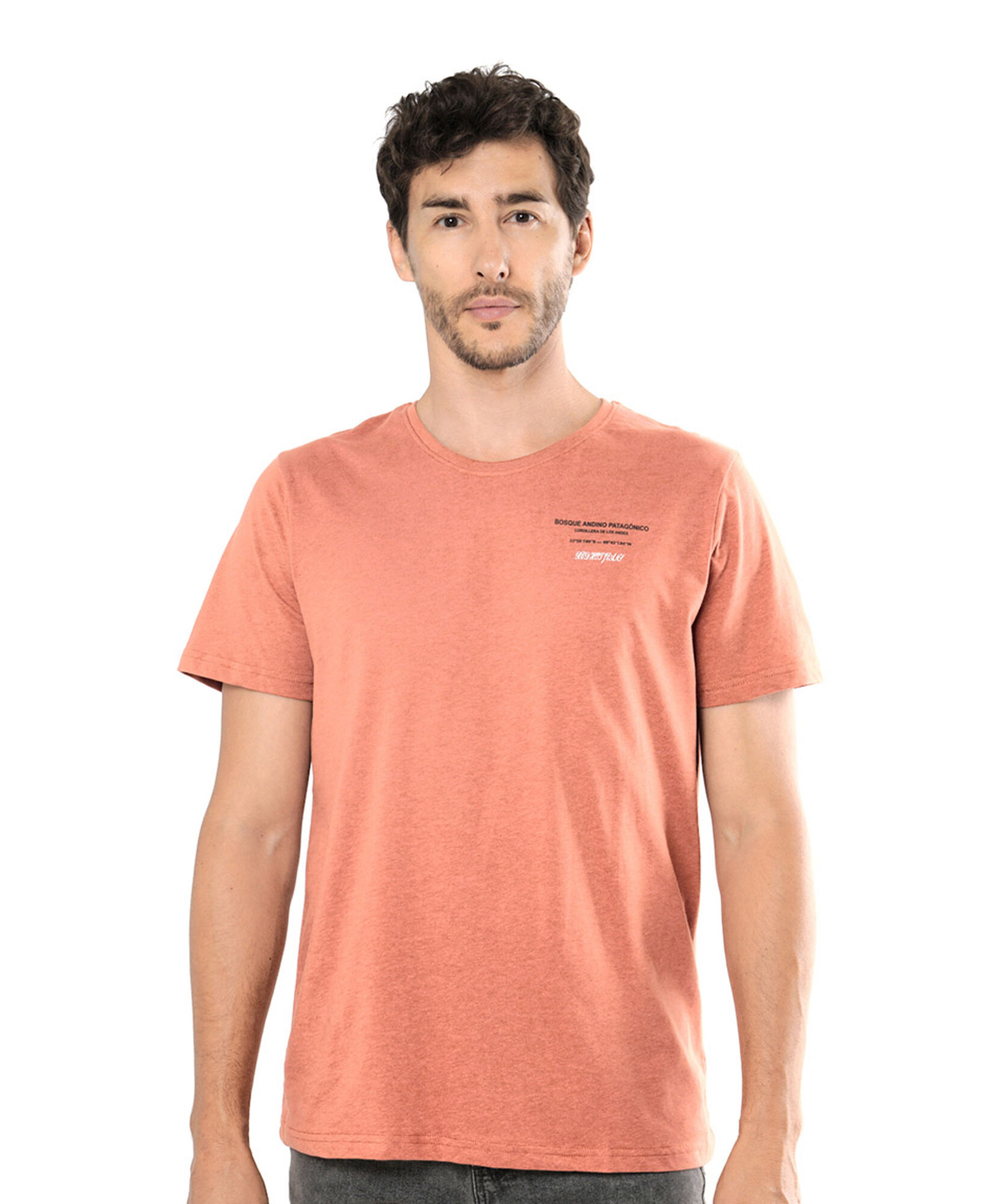 Polera hombre árboles Polera hombre árboles