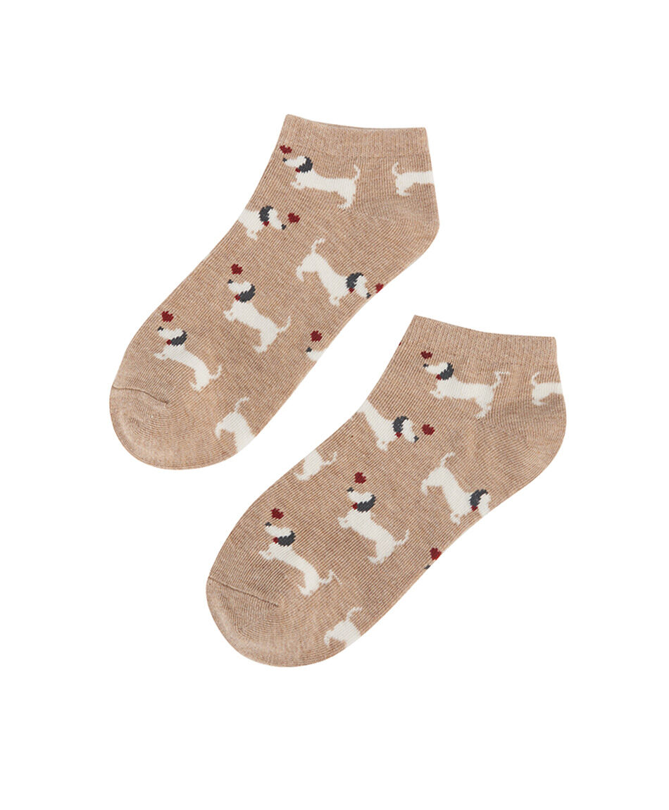 Pack 5 calcetines mujer perritos