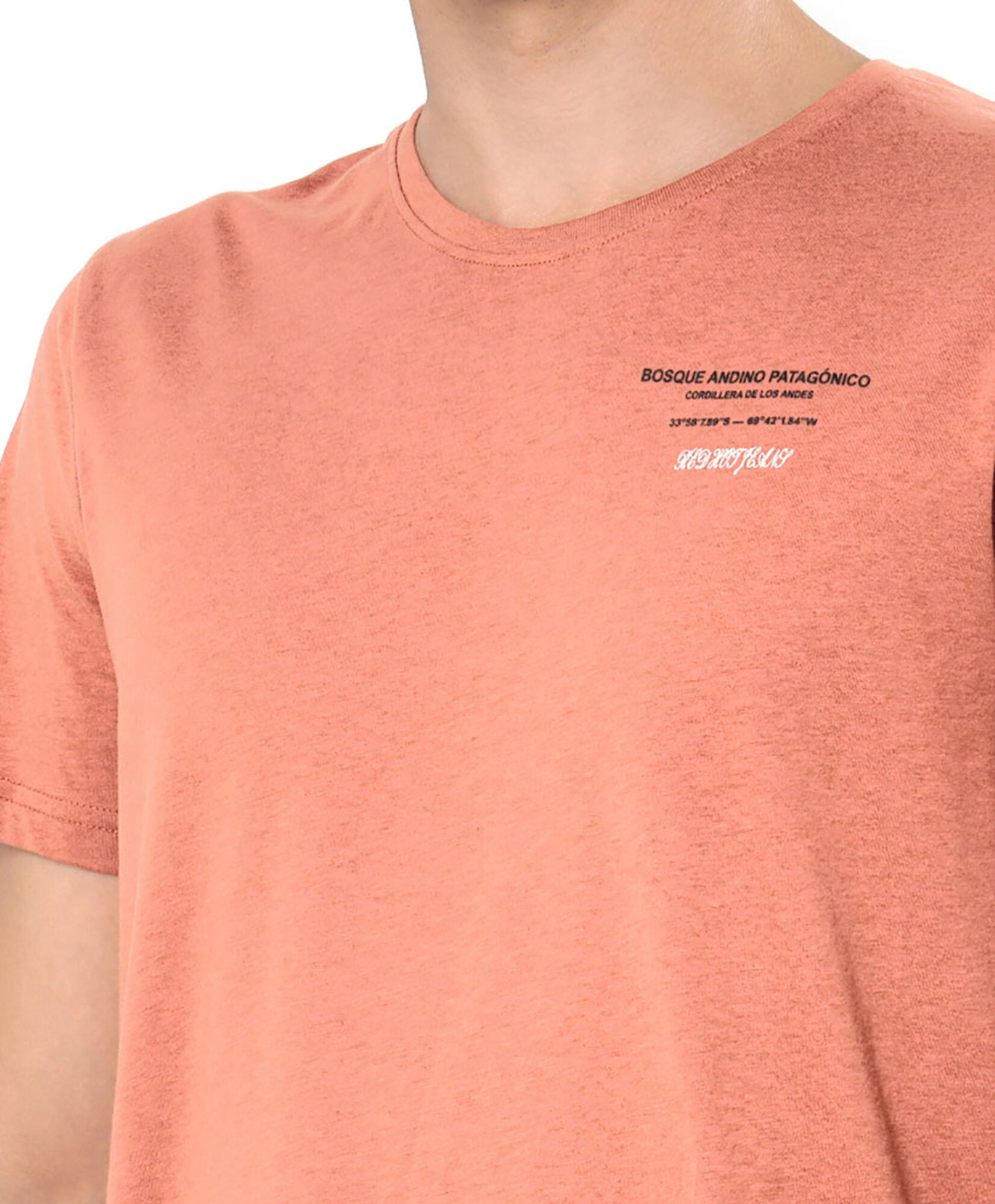 Polera hombre árboles Polera hombre árboles