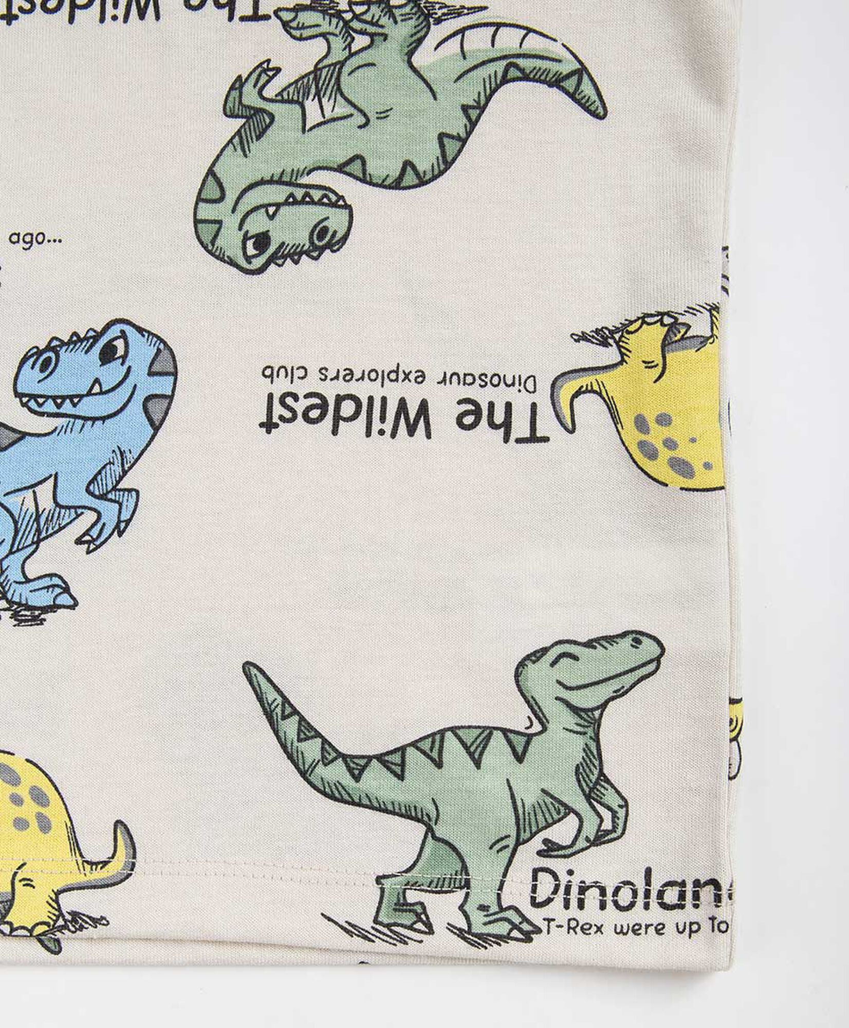 Polera bebé dinosaurios texto Polera bebé dinosaurios texto