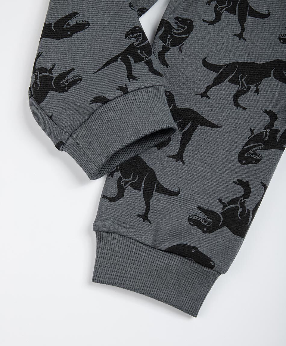 Buzo beb&eacute; dinosaurios