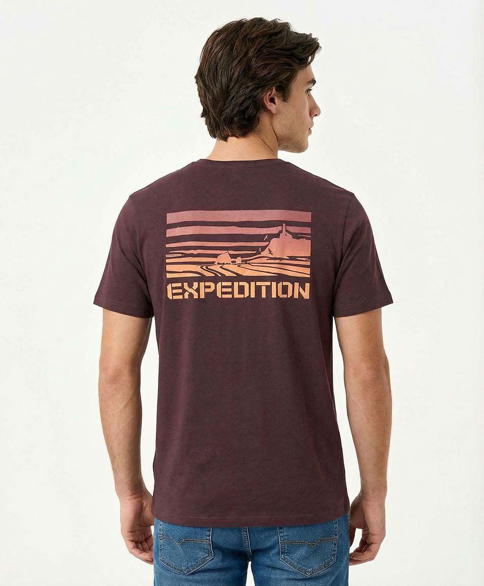 Polera hombre estampado expedition
