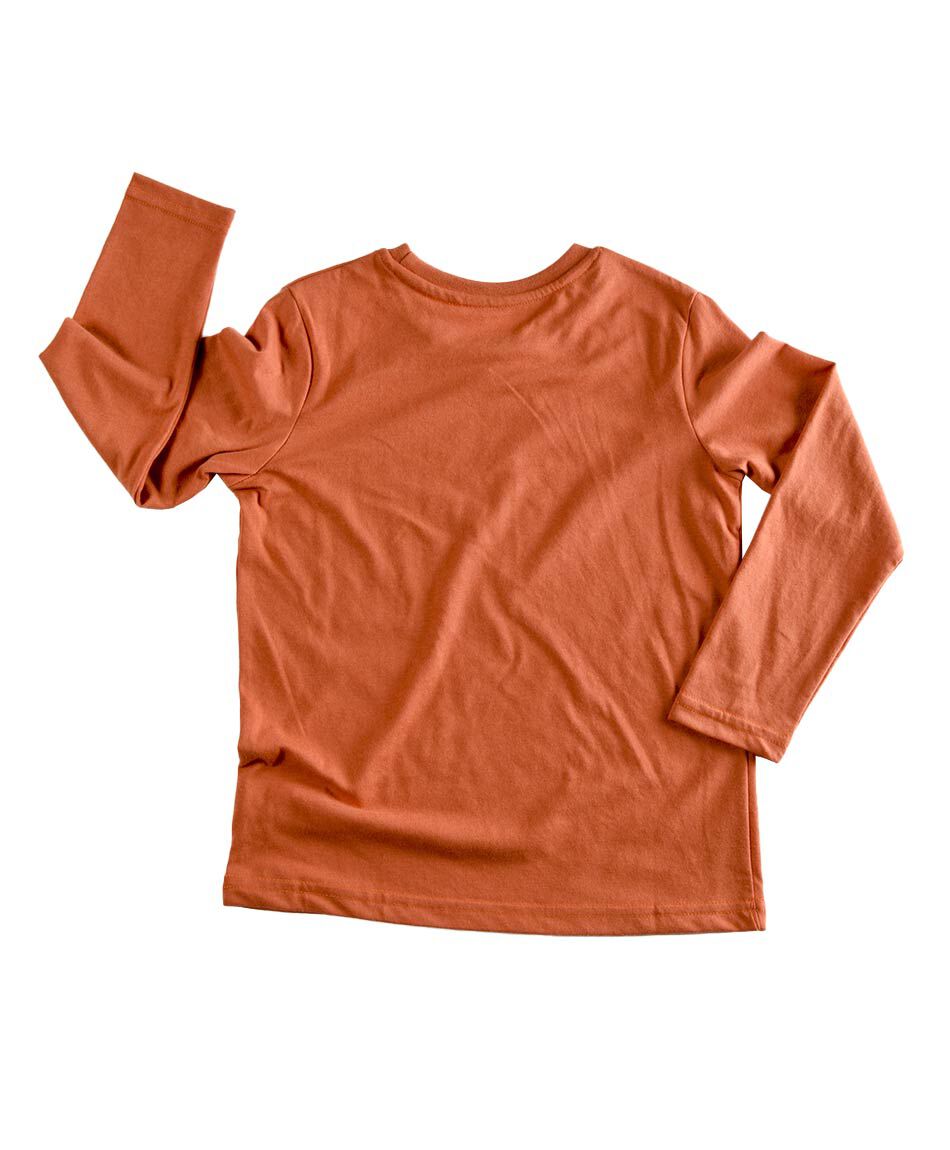 Polera ni&ntilde;o calavera manga larga