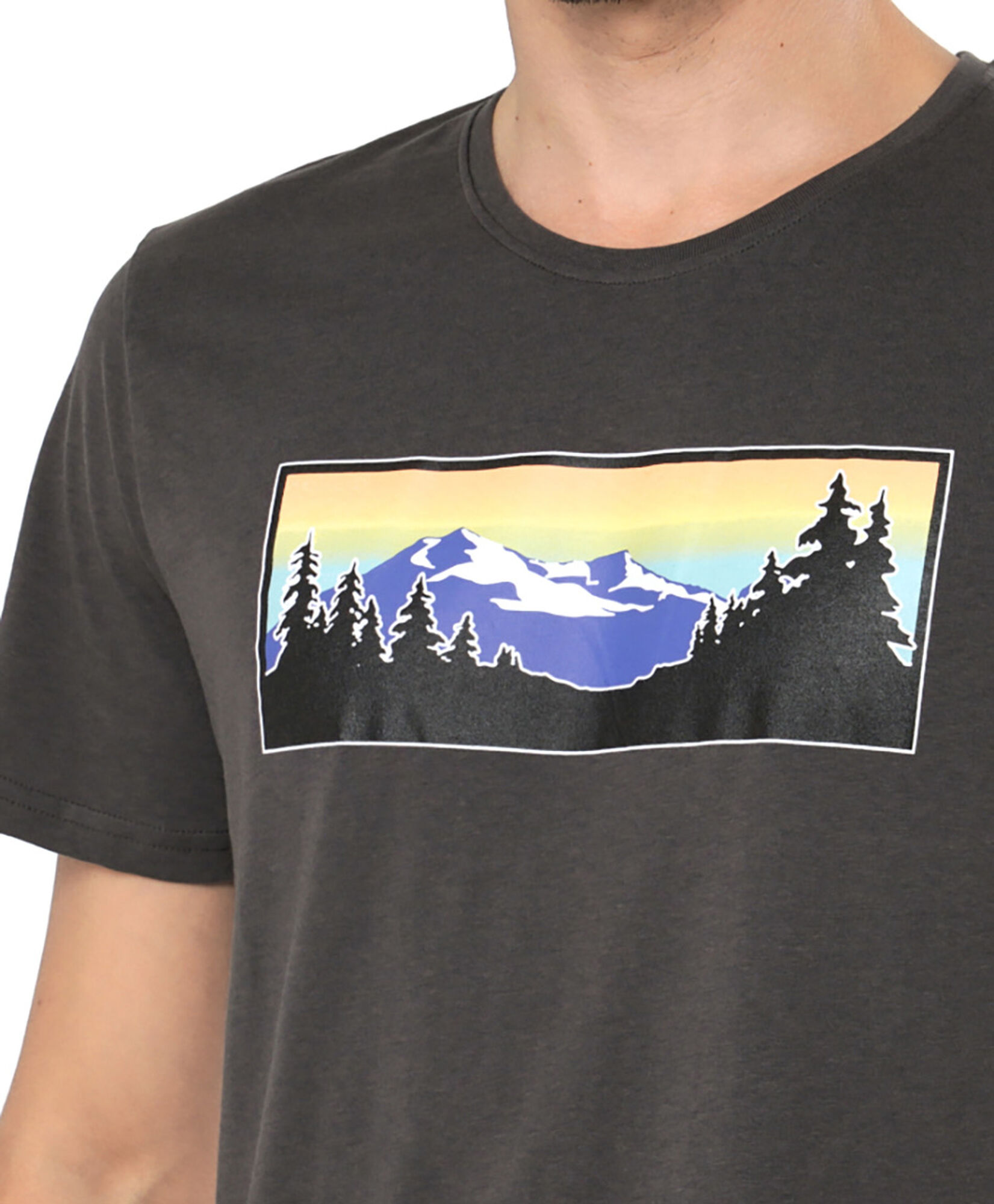 Polera hombre montaña bosque Polera hombre montaña bosque