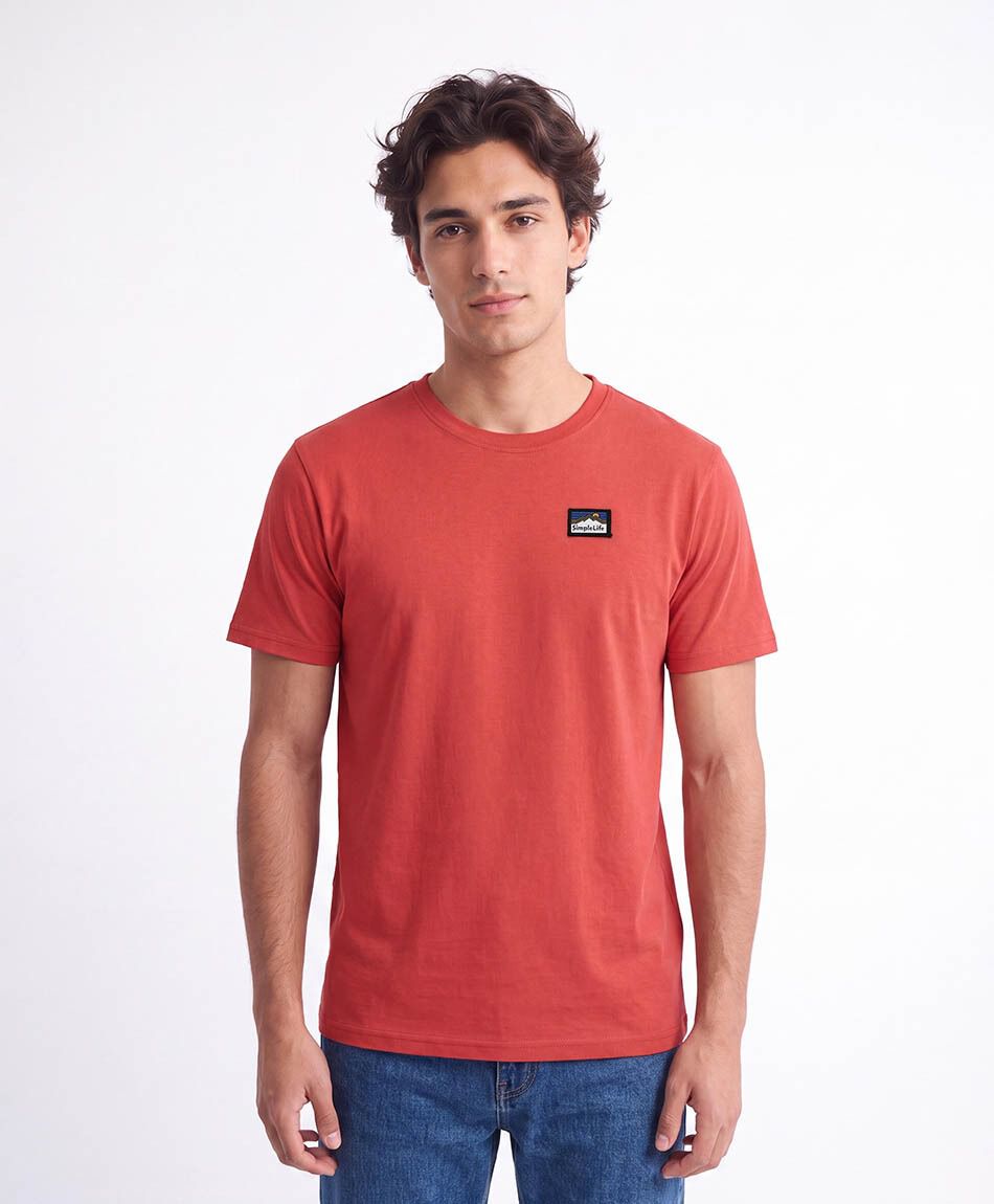 Polera hombre lisa logo