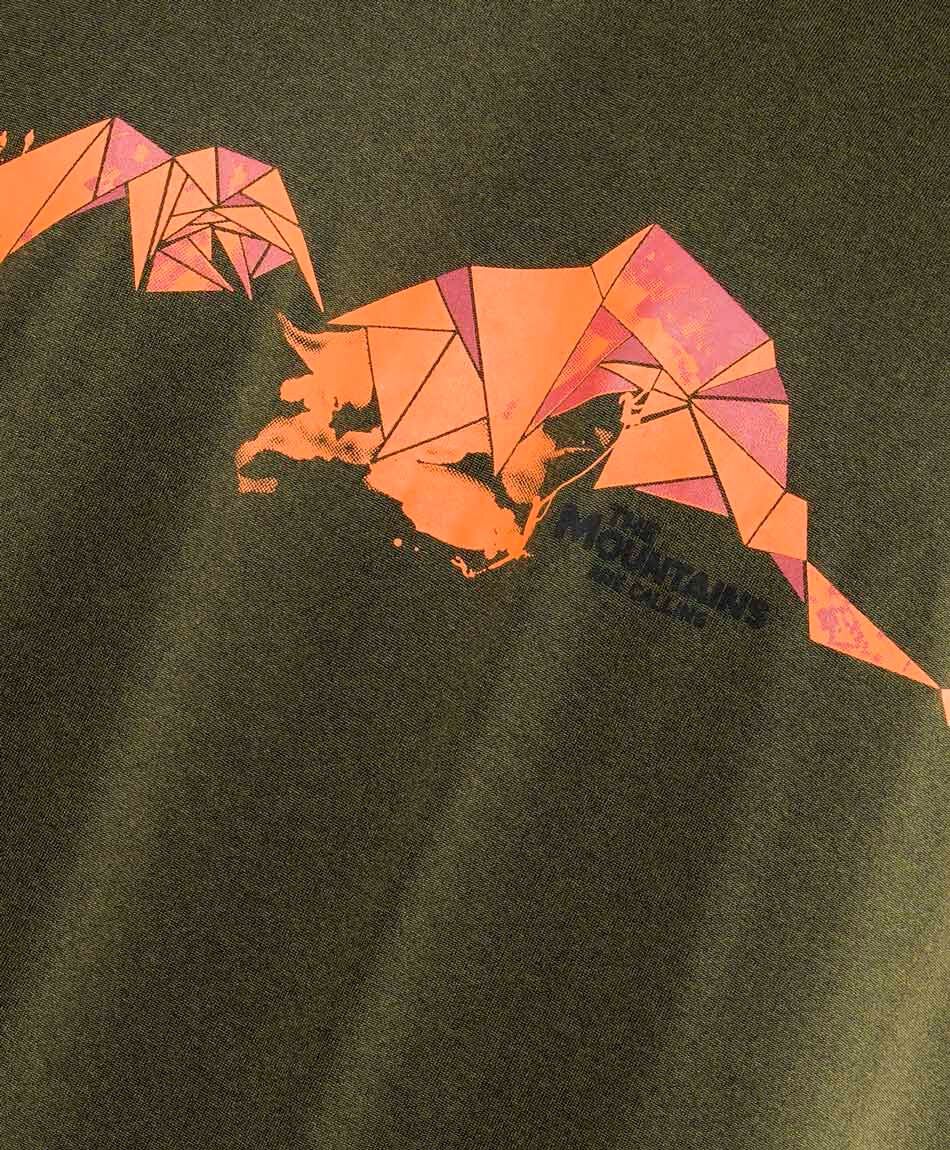 Polera hombre dry fit print monta&ntilde;a