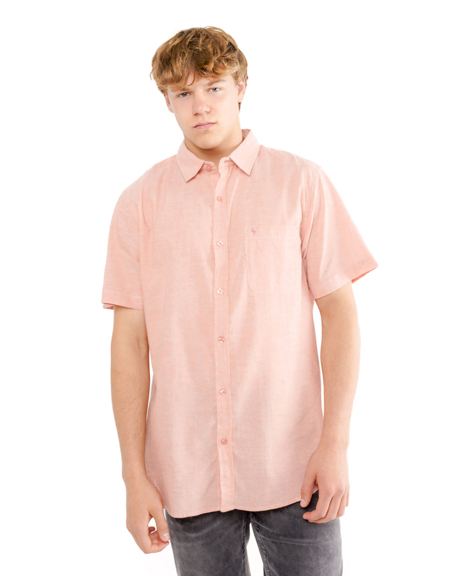 Camisa hombre lisa manga corta Camisa hombre lisa manga corta