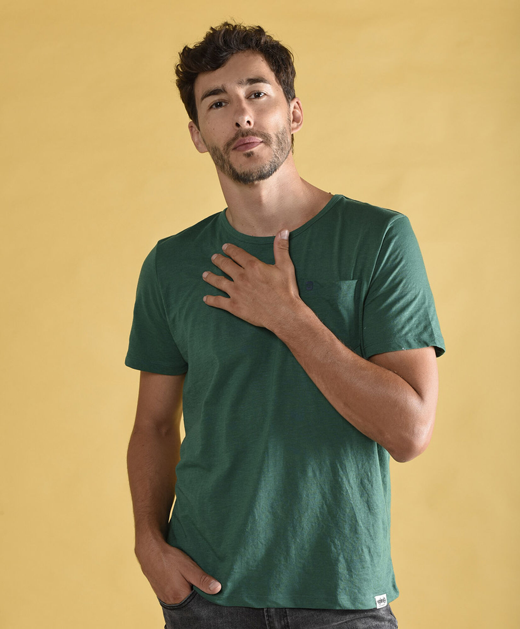 Polera lisa Polera lisa