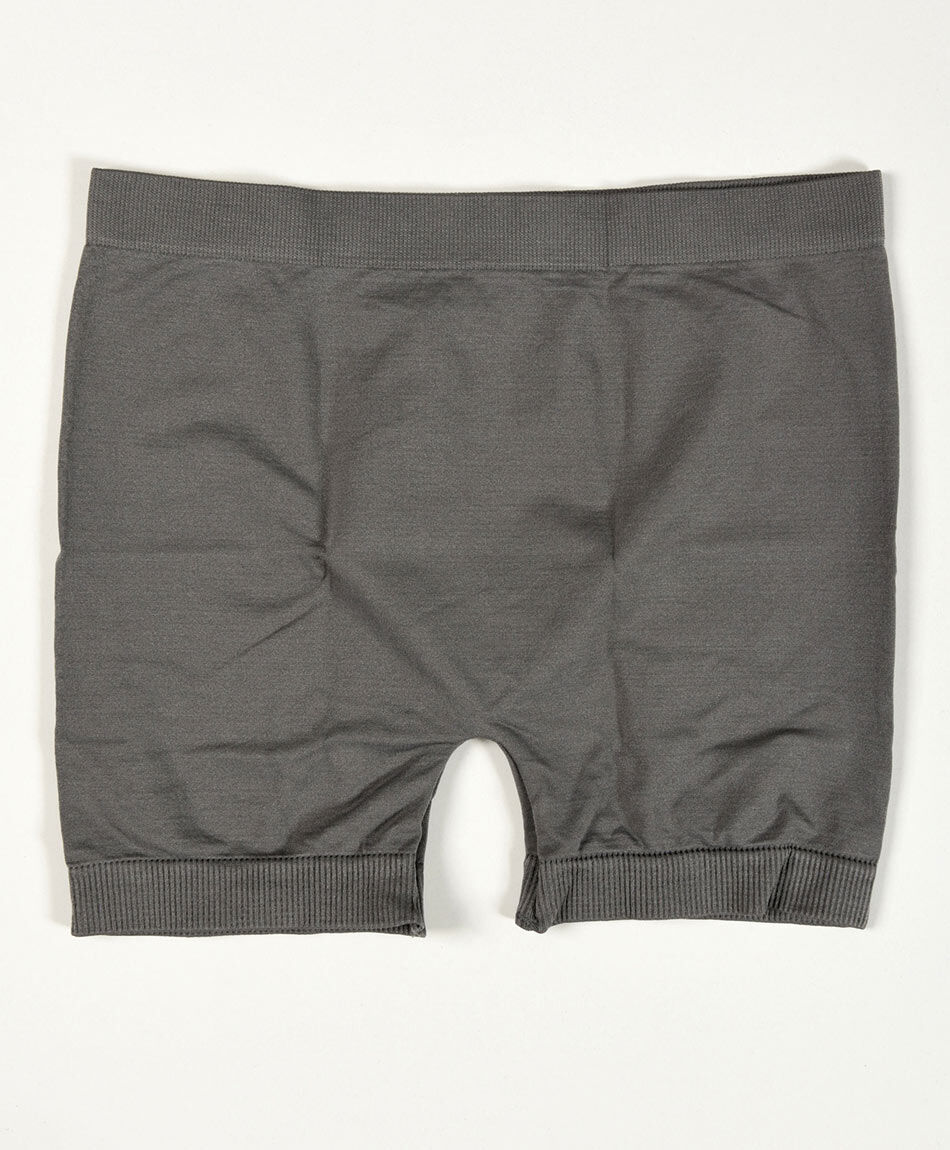 Pantaleta escolar gris