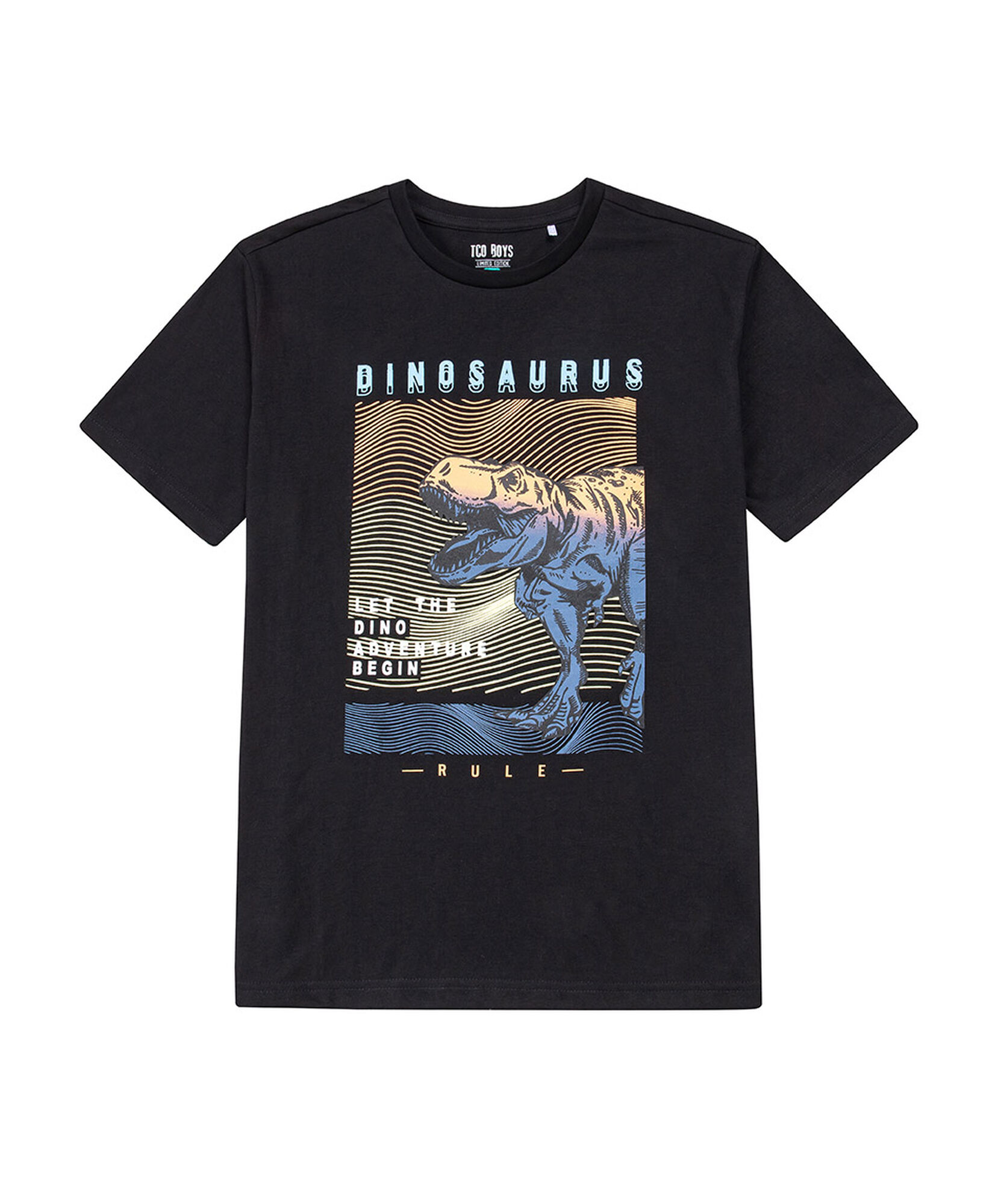 Polera niño dinosaurio Polera niño dinosaurio