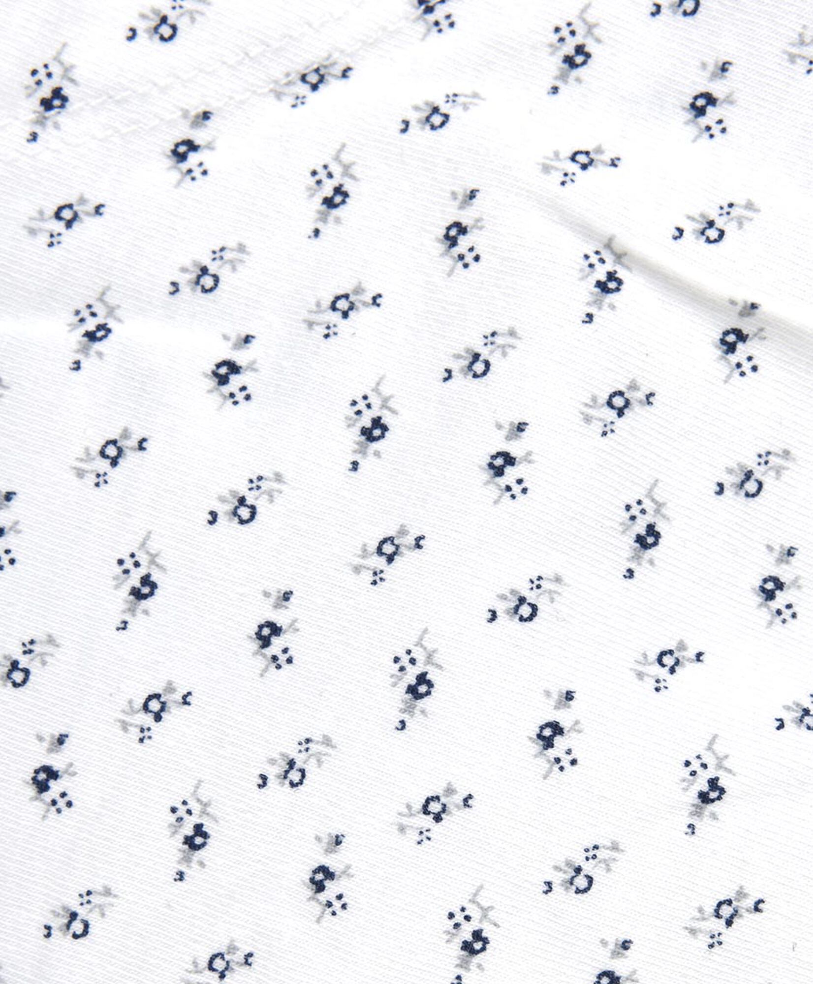 Pantaleta mujer diseños Pantaleta mujer diseños