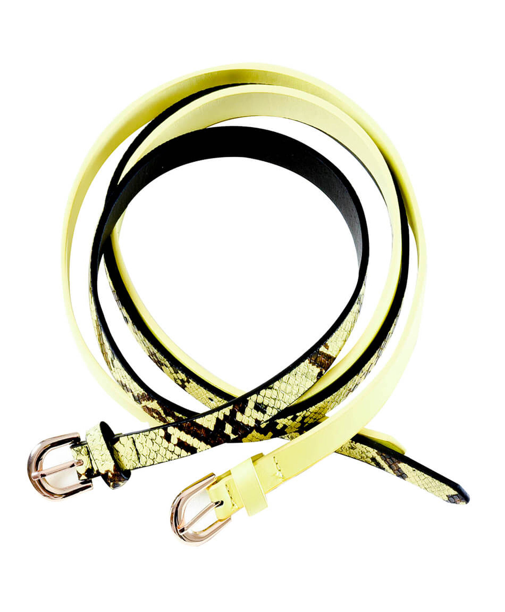 Cinturon neon snake Cinturon neon snake