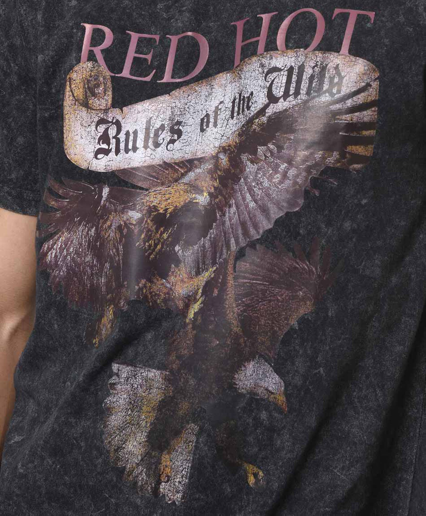 Polera hombre desgastada águila Polera hombre desgastada águila