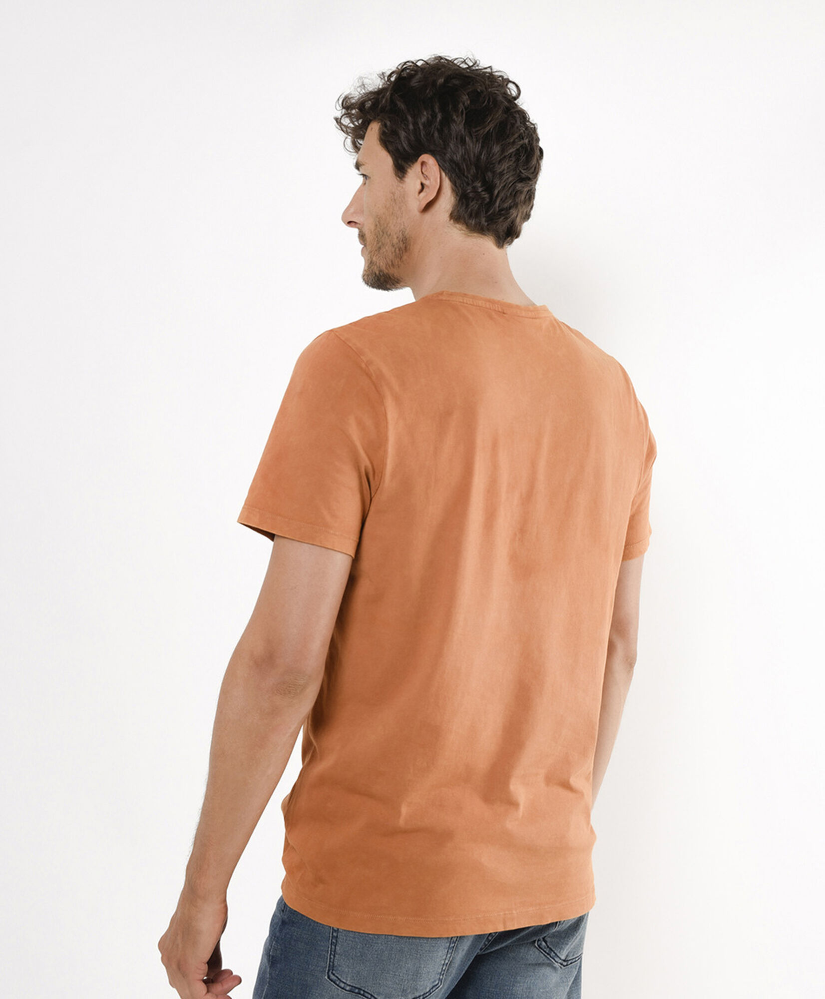 Polera hombre alpes Polera hombre alpes