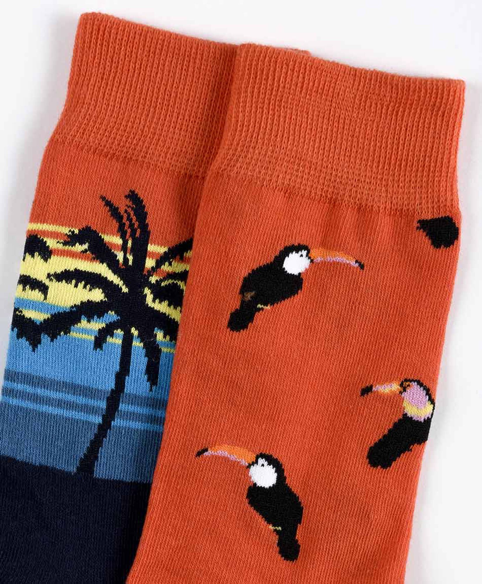 Pack 2 calcetines hombre tucán y palmera Pack 2 calcetines hombre tucán y palmera