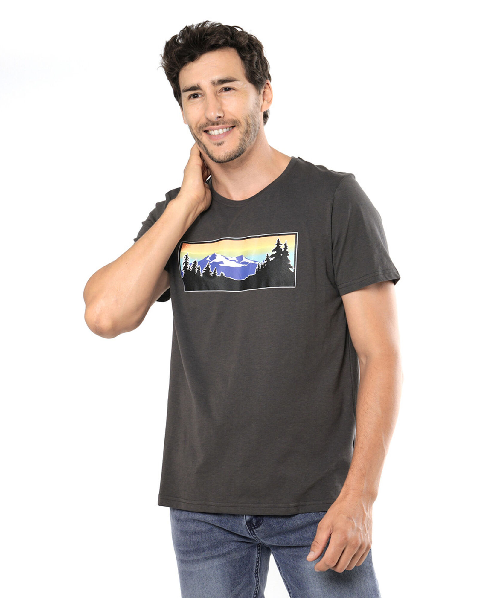 Polera hombre montaña bosque Polera hombre montaña bosque