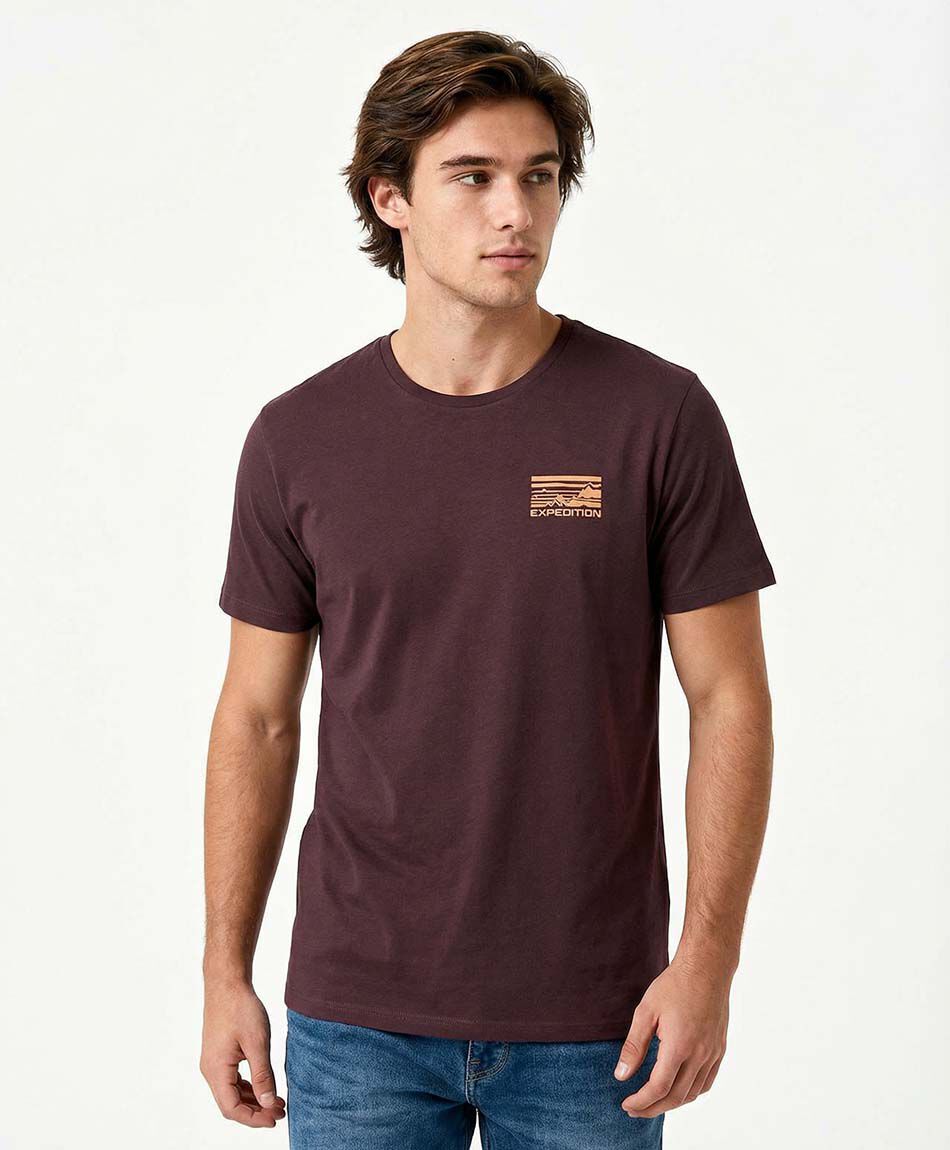 Polera hombre estampado expedition