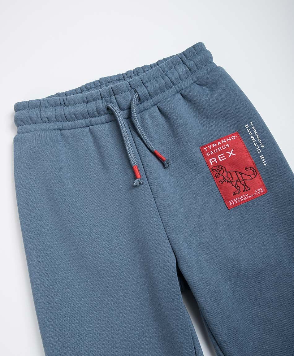 Buzo beb&eacute; t-rex