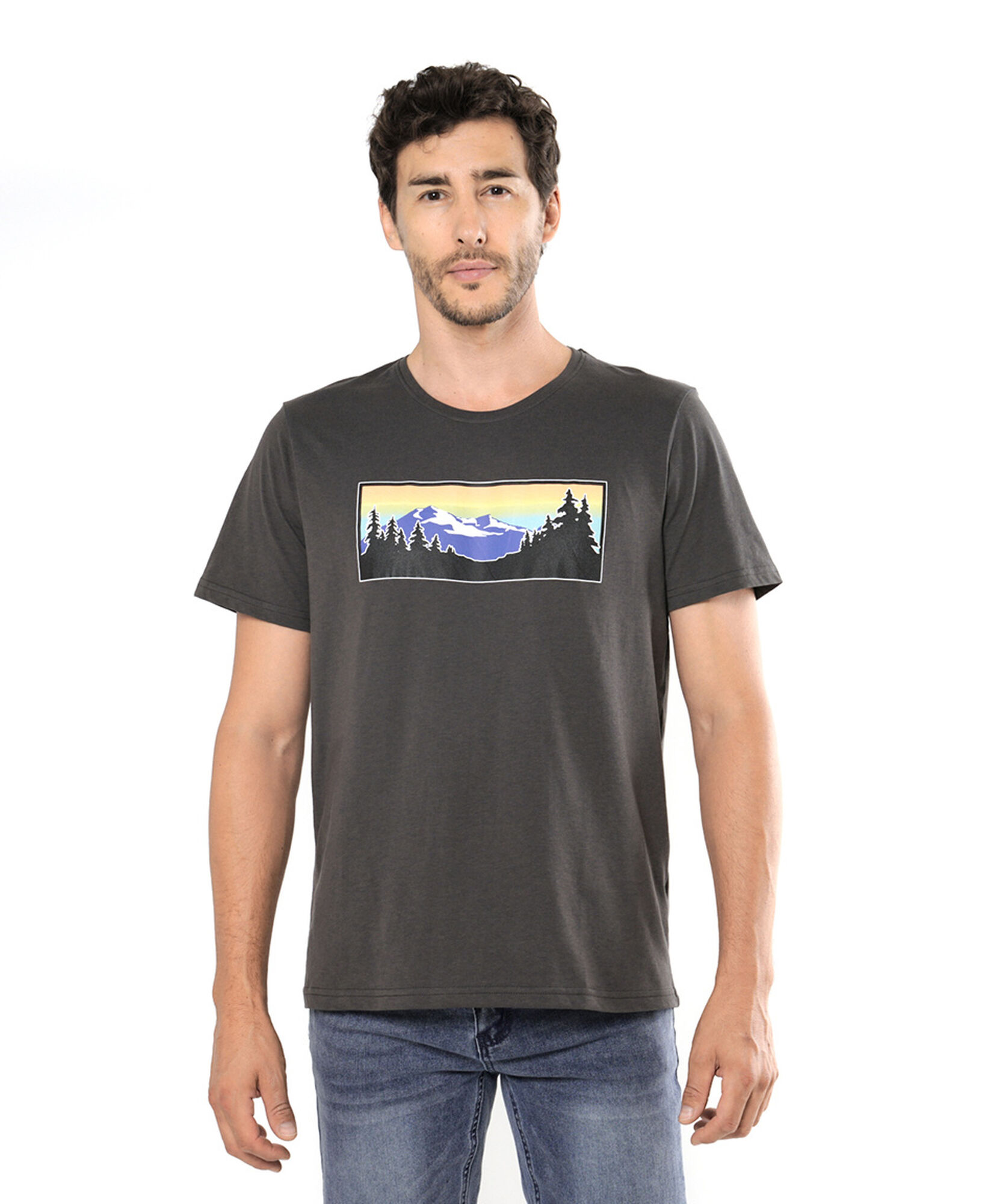 Polera hombre montaña bosque Polera hombre montaña bosque