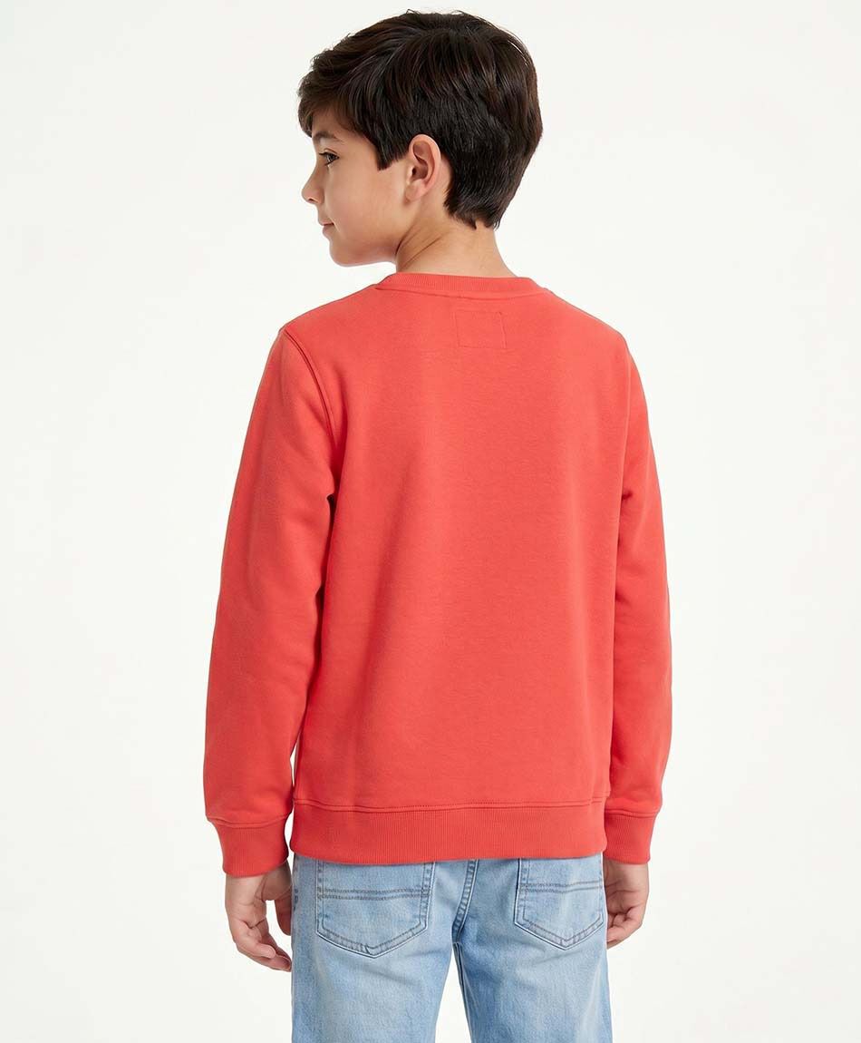 Poler&oacute;n ni&ntilde;o skate