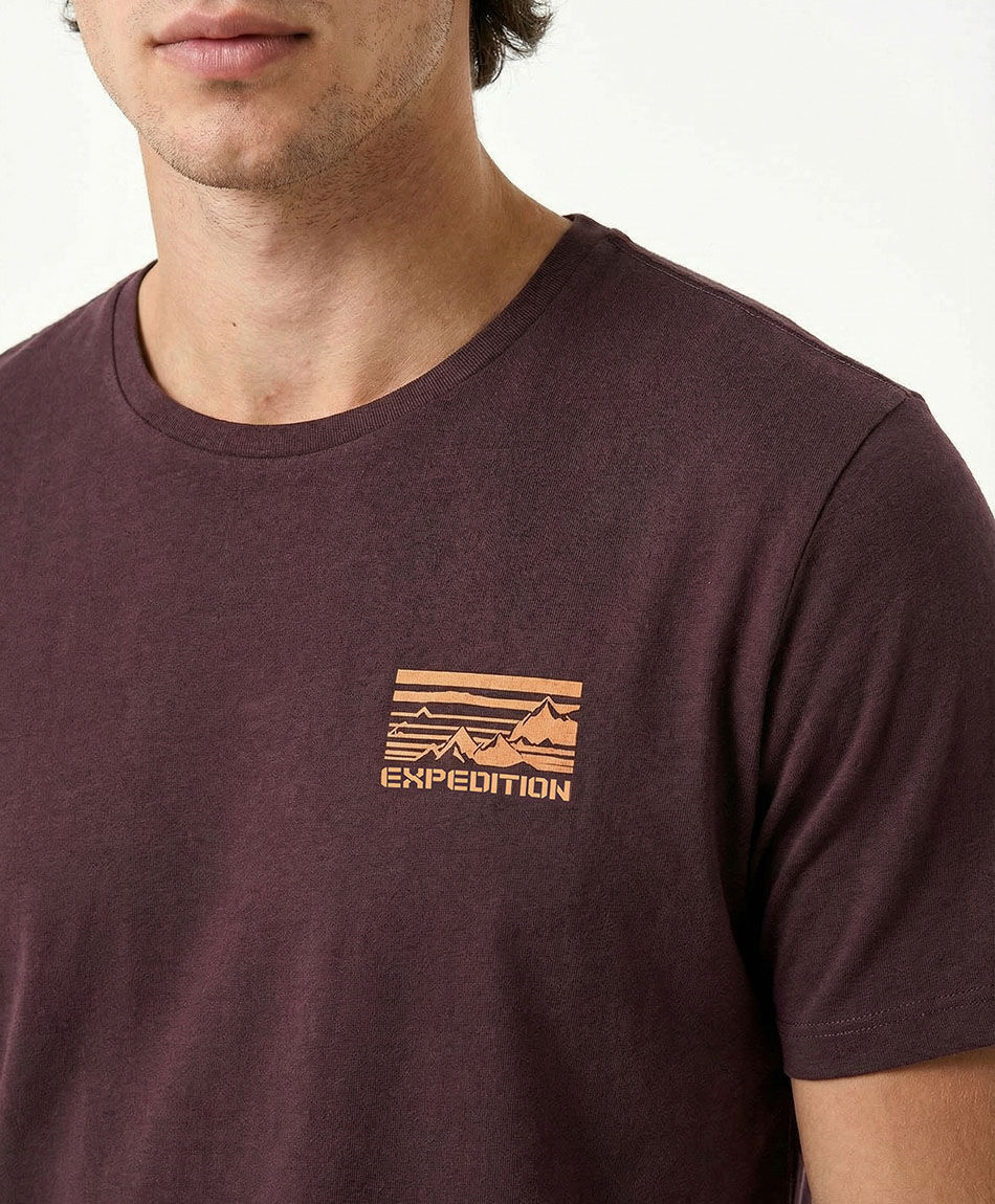 Polera hombre estampado expedition
