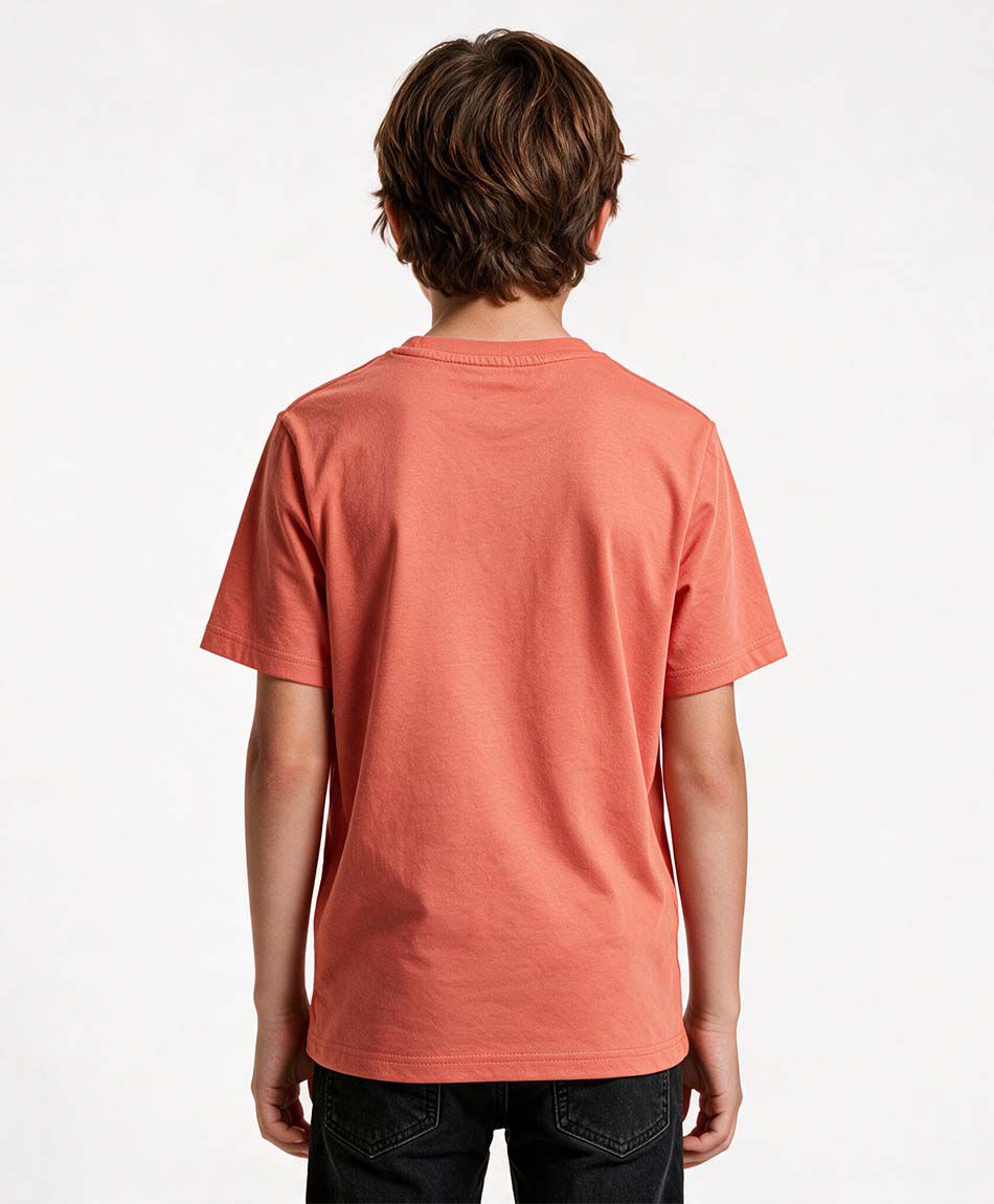 Polera ni&ntilde;o skate