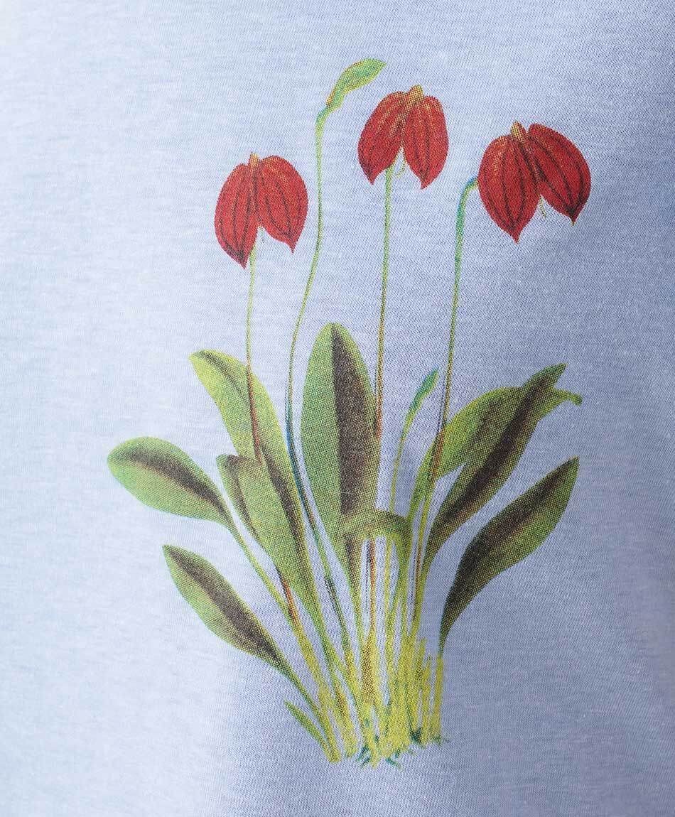 Polera mujer tulipan