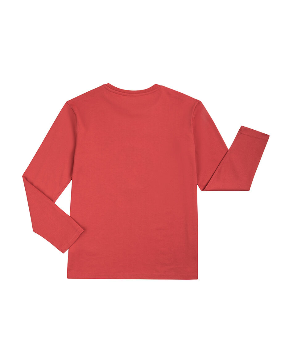 Polera ni&ntilde;o estampada deportes balones