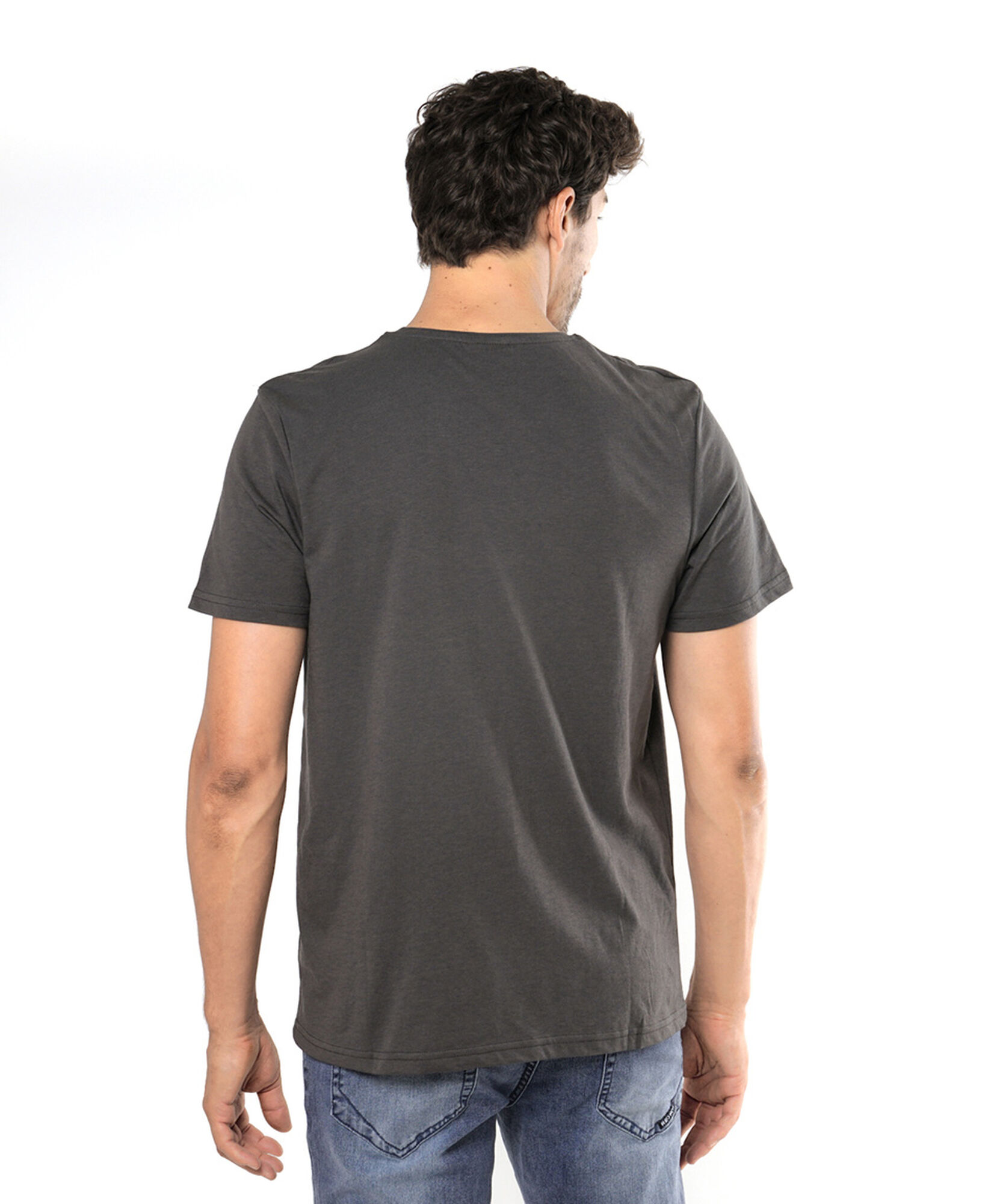 Polera hombre montaña bosque Polera hombre montaña bosque