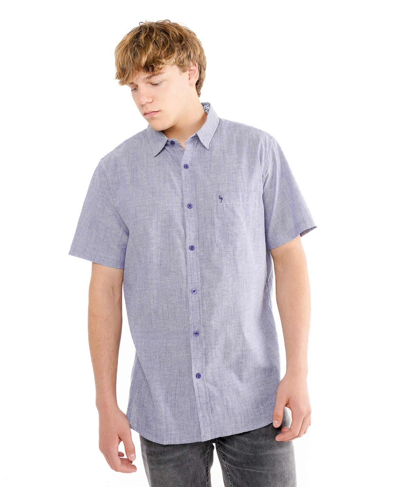 Camisa hombre lisa manga corta Camisa hombre lisa manga corta