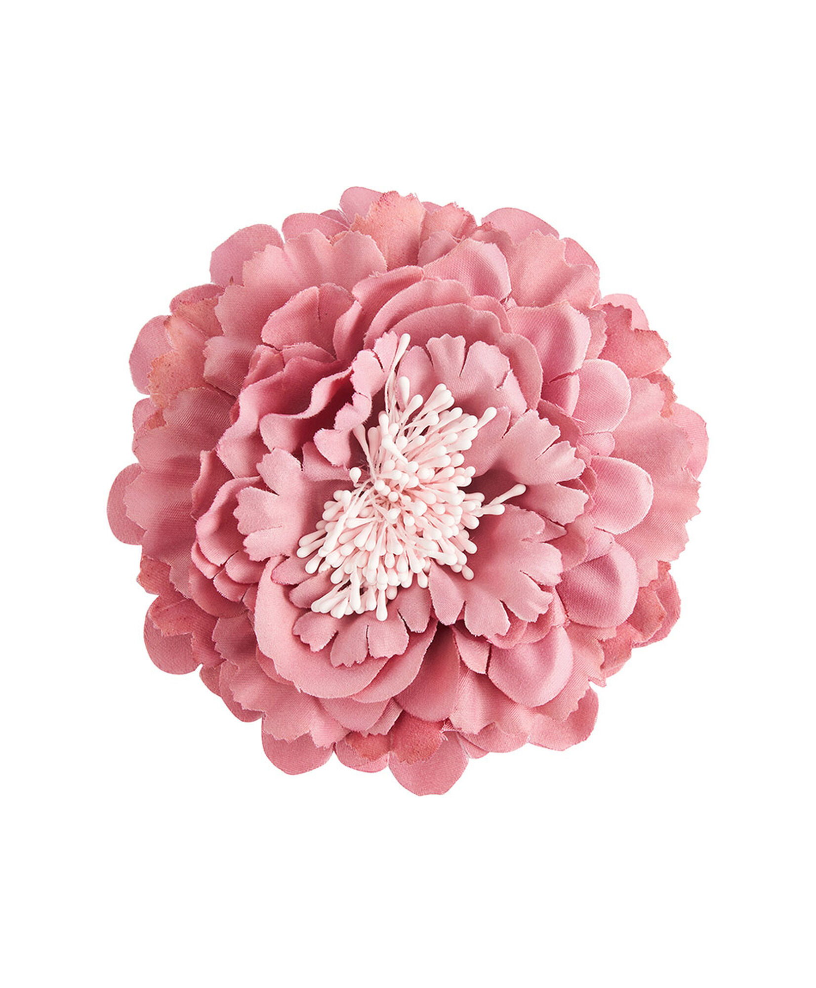 Pinche mujer flor rosada Pinche mujer flor rosada