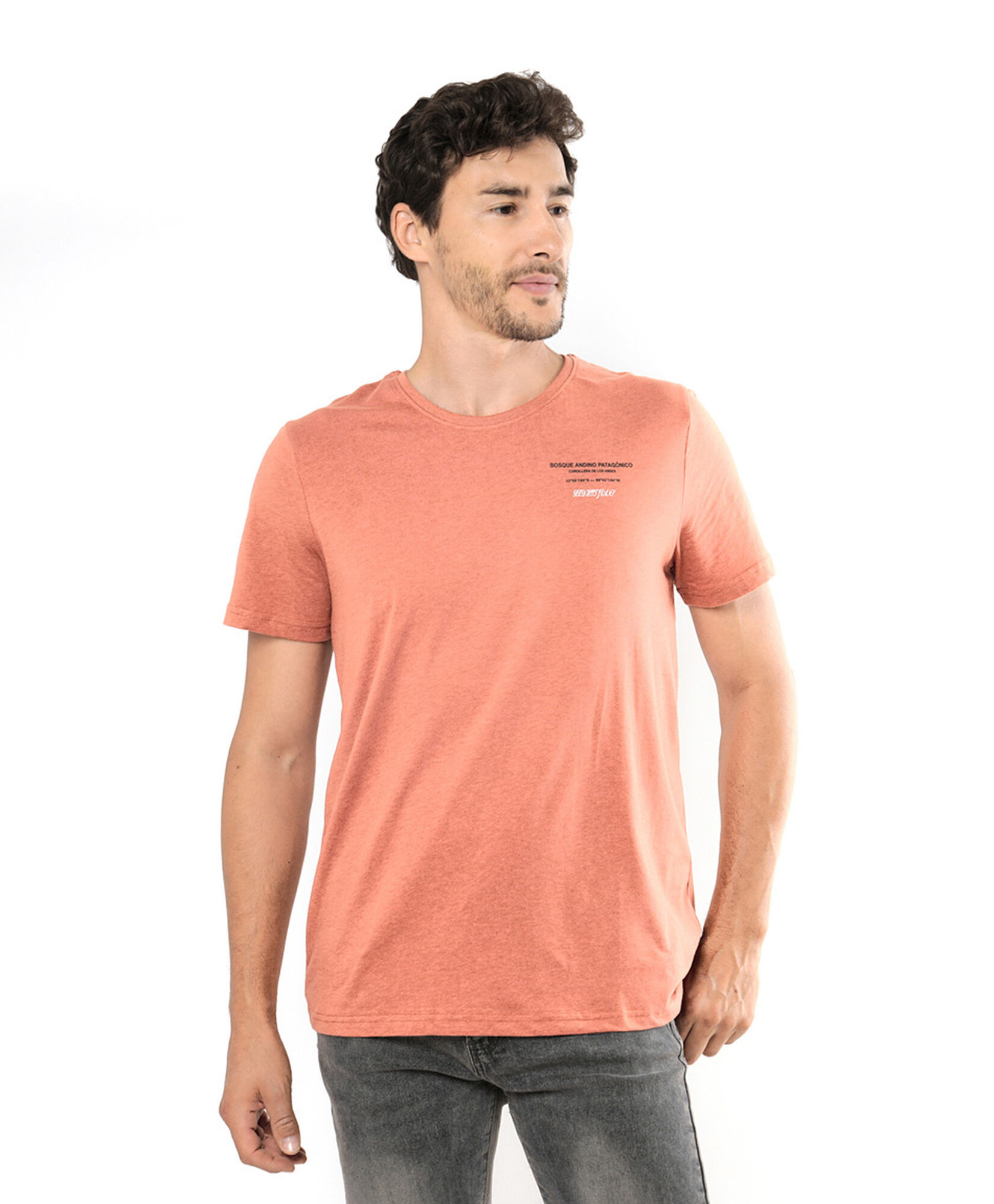 Polera hombre árboles Polera hombre árboles