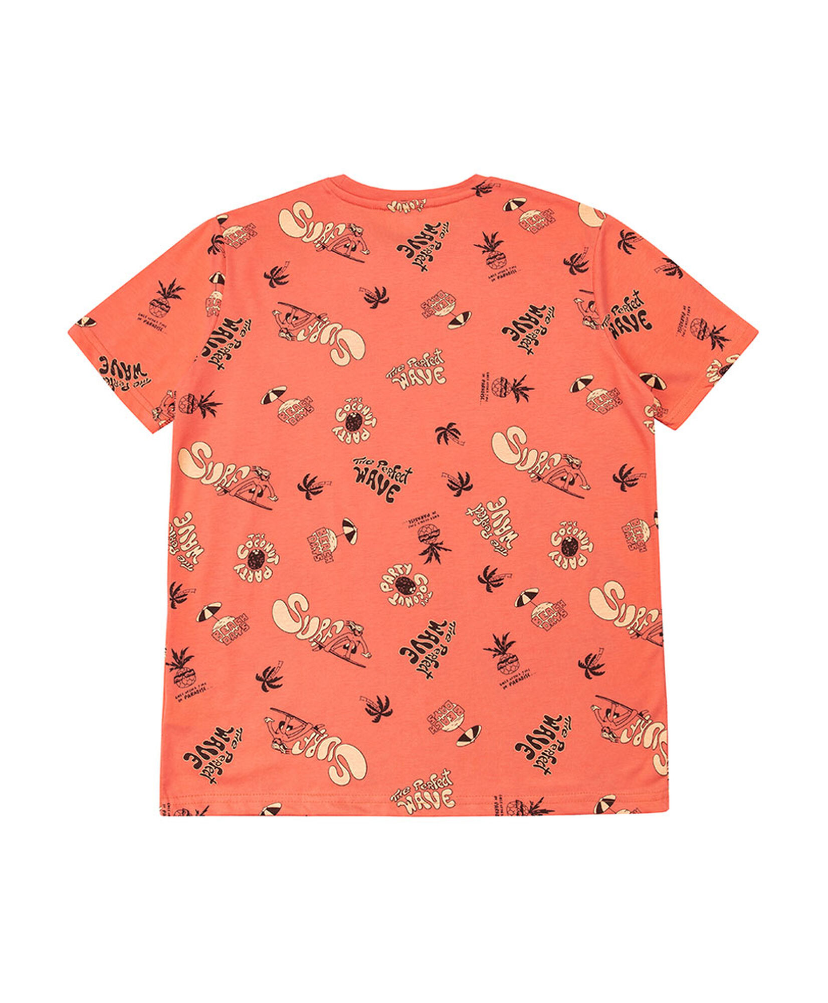 Polera niño verano Polera niño verano