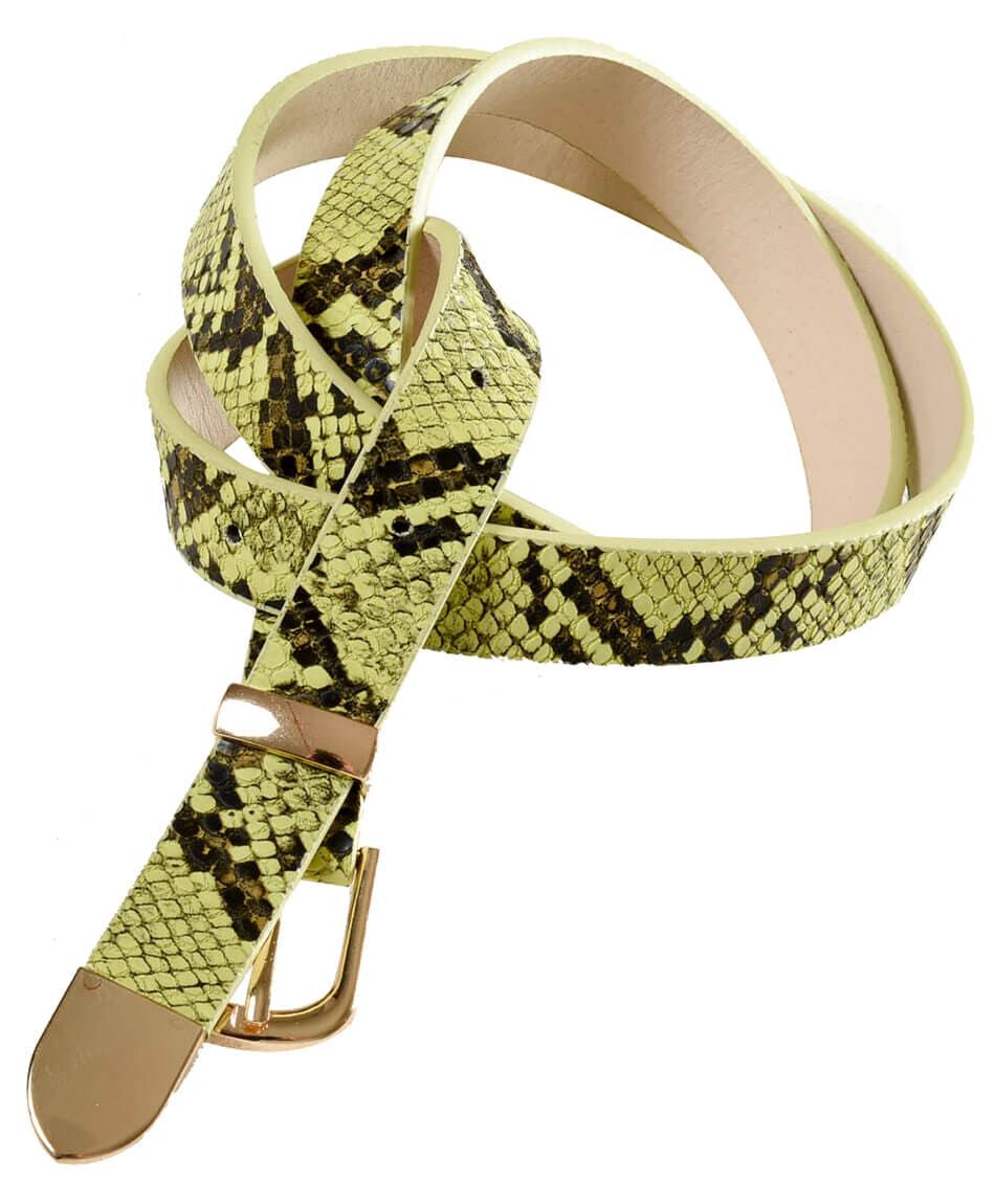 Cinturon piton neon