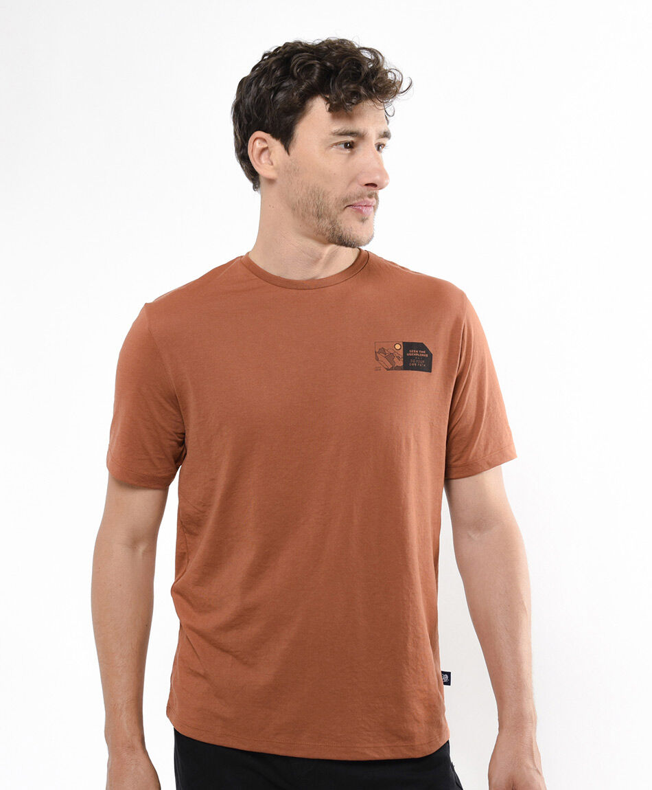 Polera hombre mount oranges