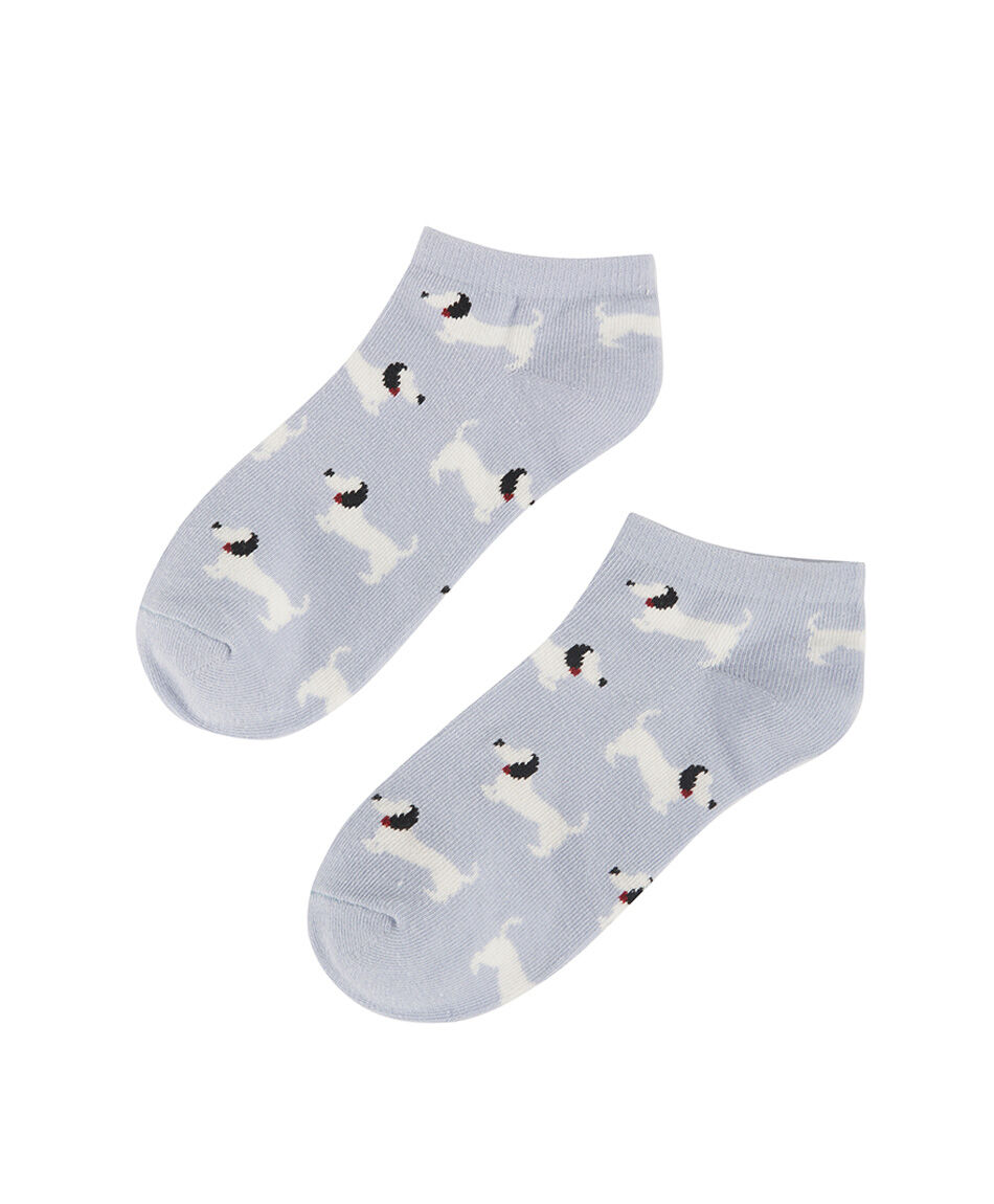 Pack 5 calcetines mujer perritos