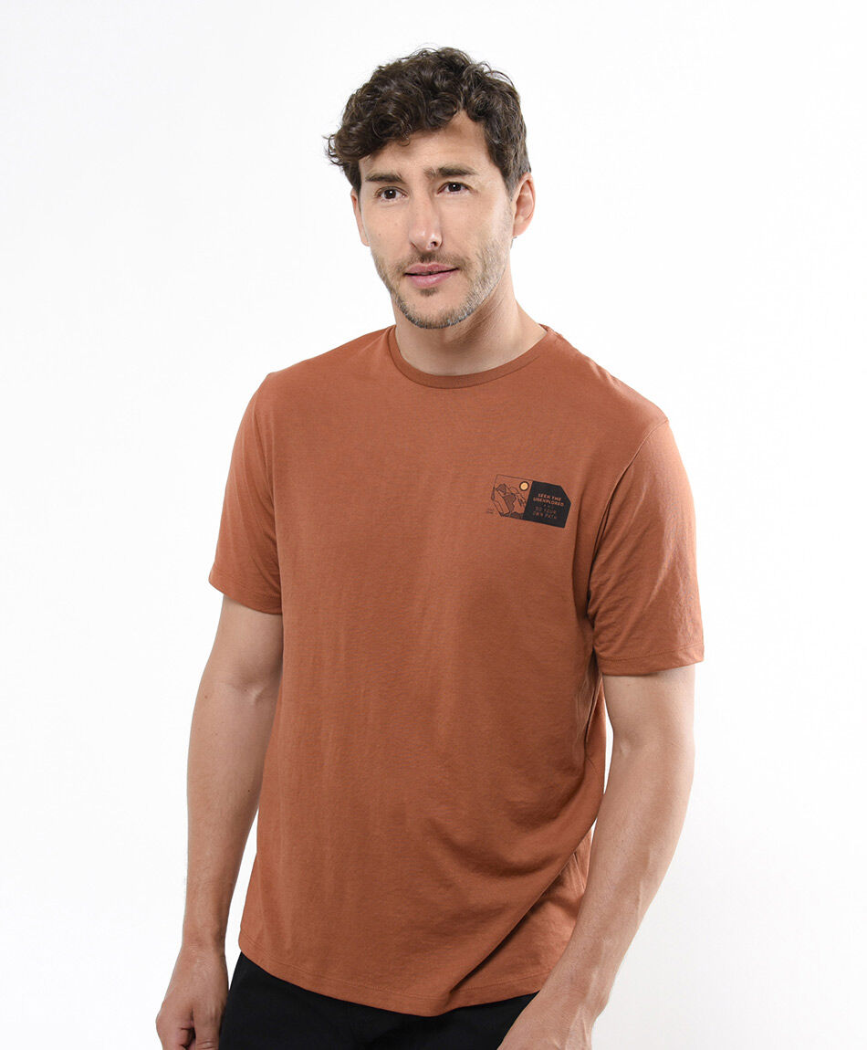Polera hombre mount oranges