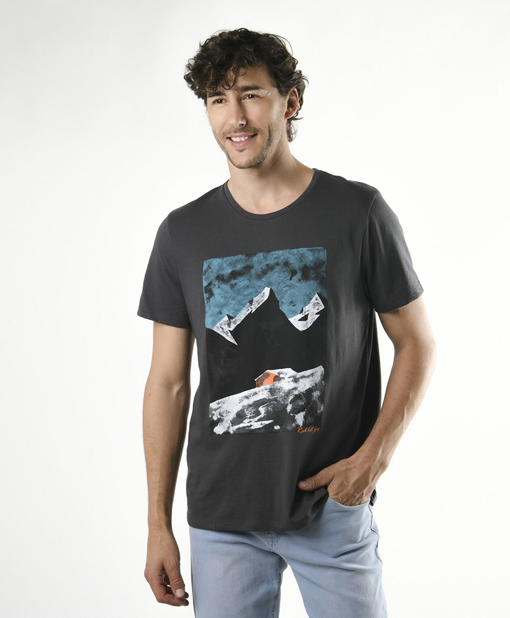 Polera hombre estampada montaña Polera hombre estampada montaña