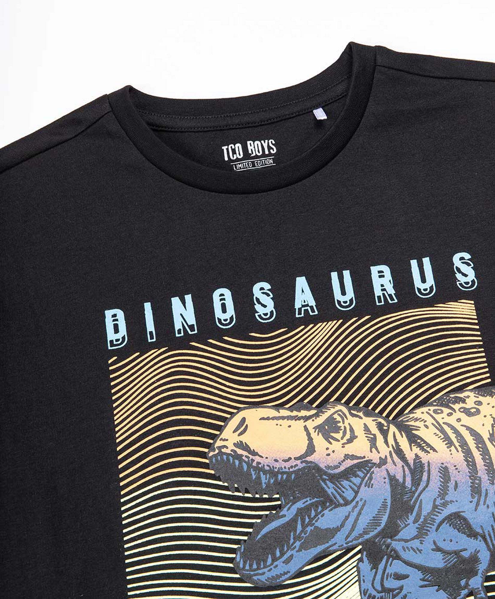 Polera niño dinosaurio Polera niño dinosaurio