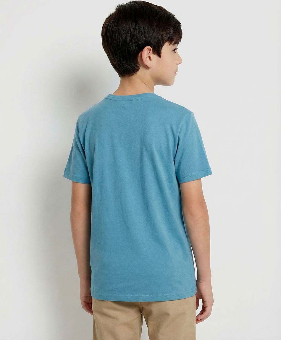 Remera ni&ntilde;o tigre