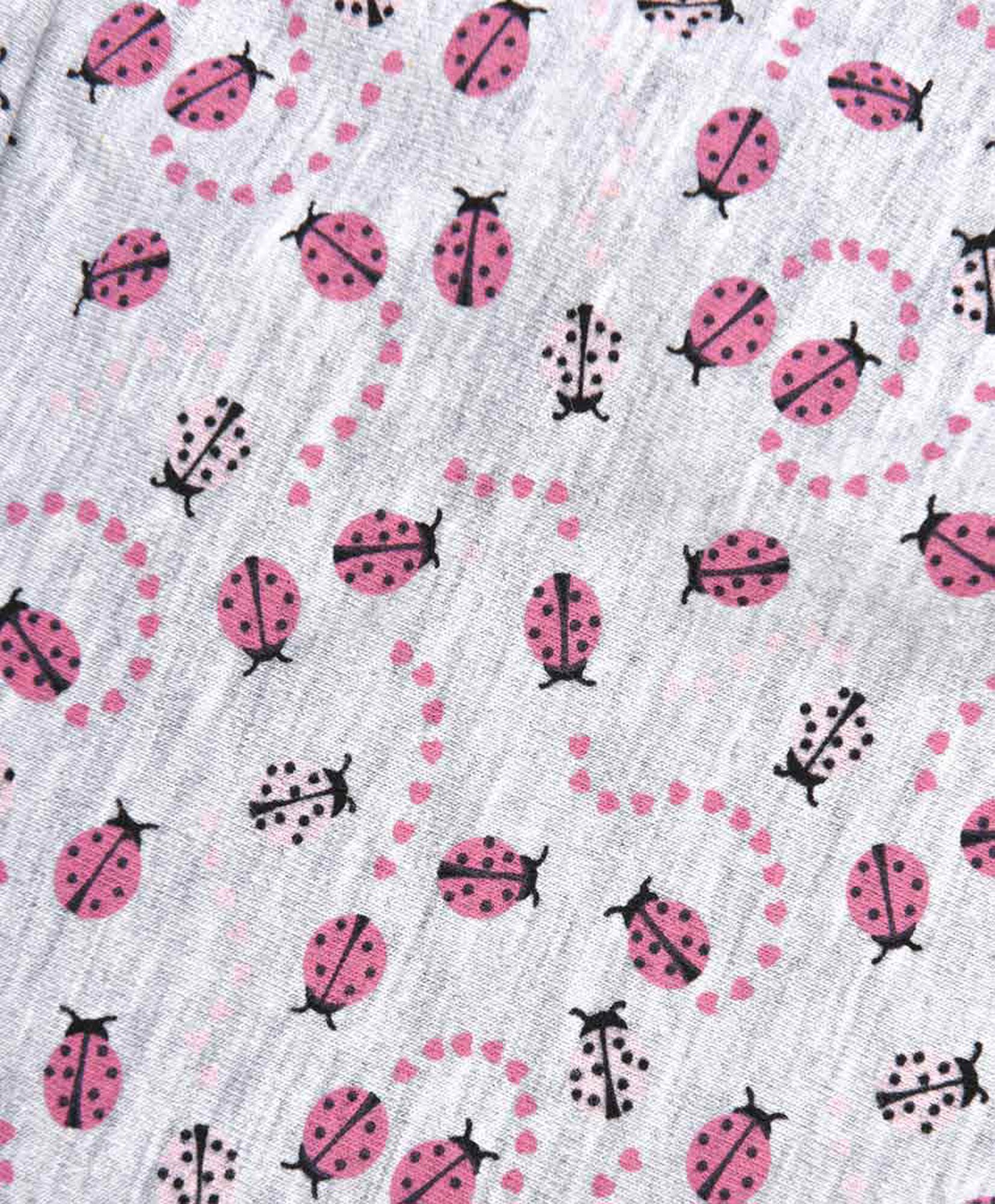 Pantaleta mujer diseños Pantaleta mujer diseños