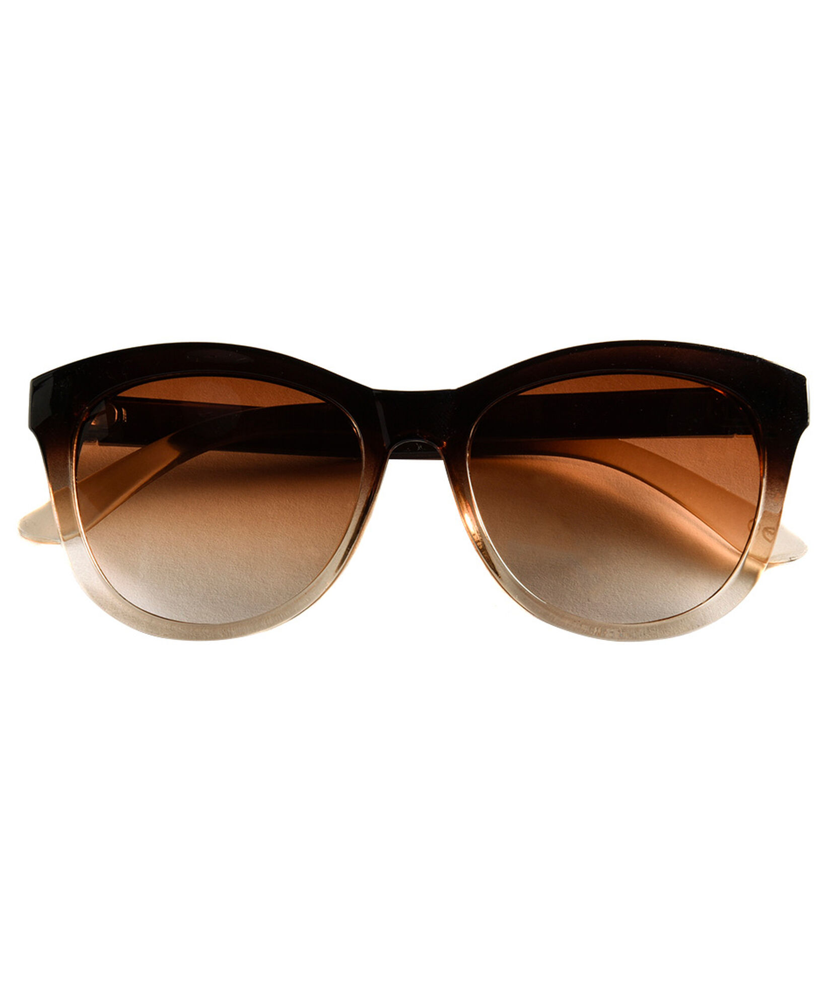 Lentes bicolor Lentes bicolor