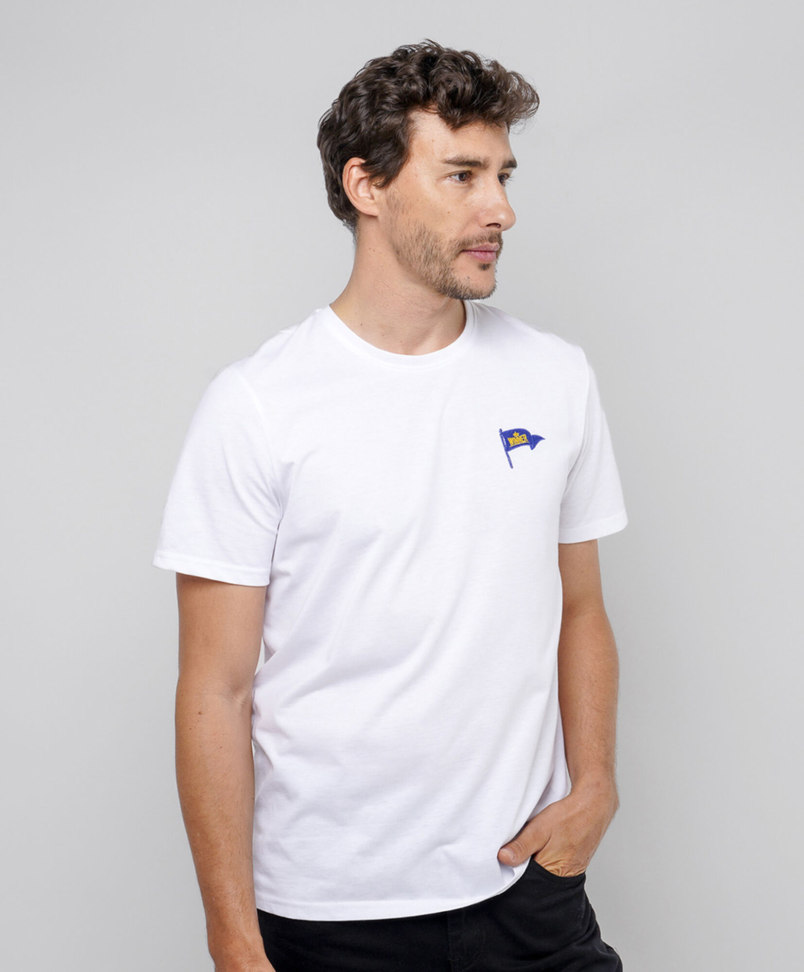Polera hombre lisa bandera Polera hombre lisa bandera