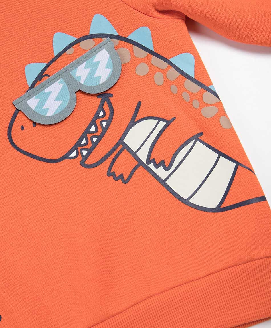 Poler&oacute;n beb&eacute; dinosaurio lentes