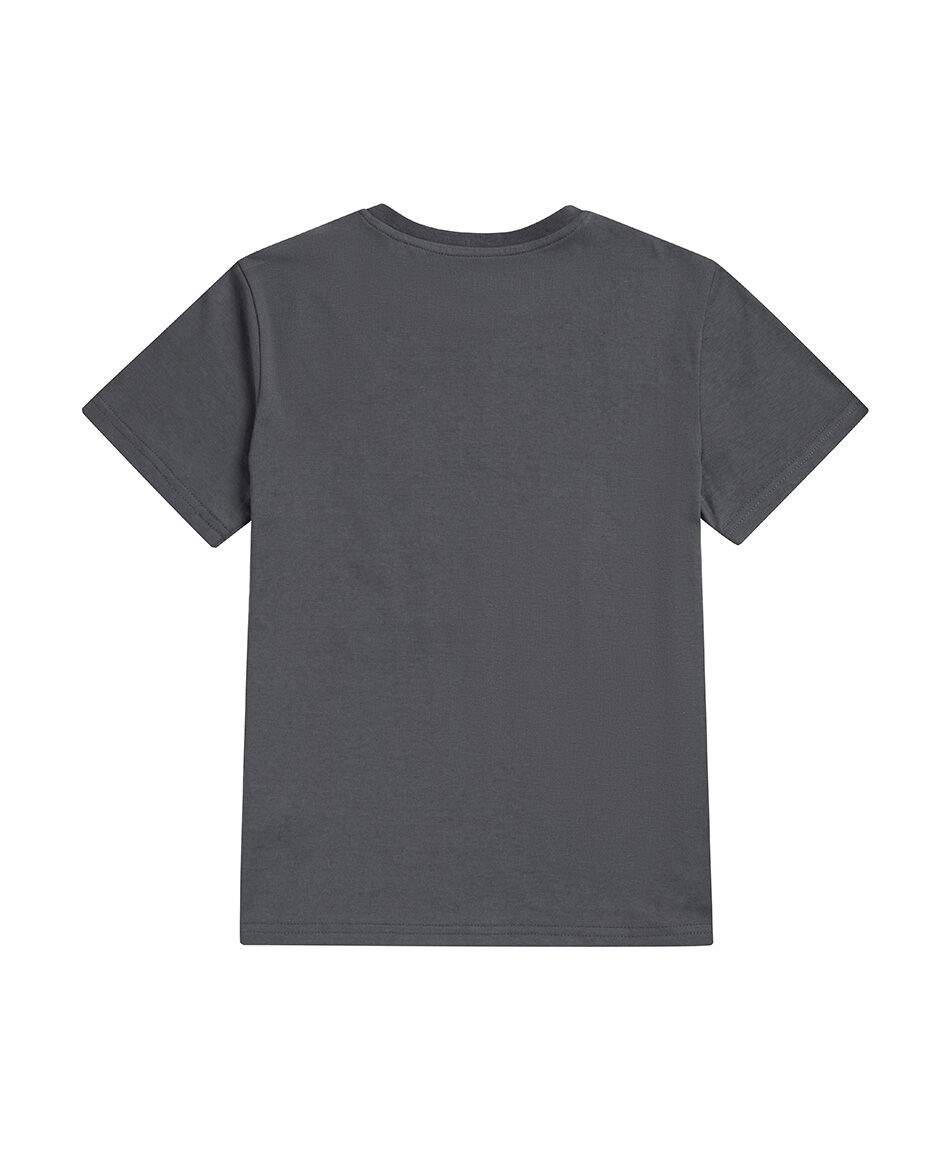 Polera ni&ntilde;o surf