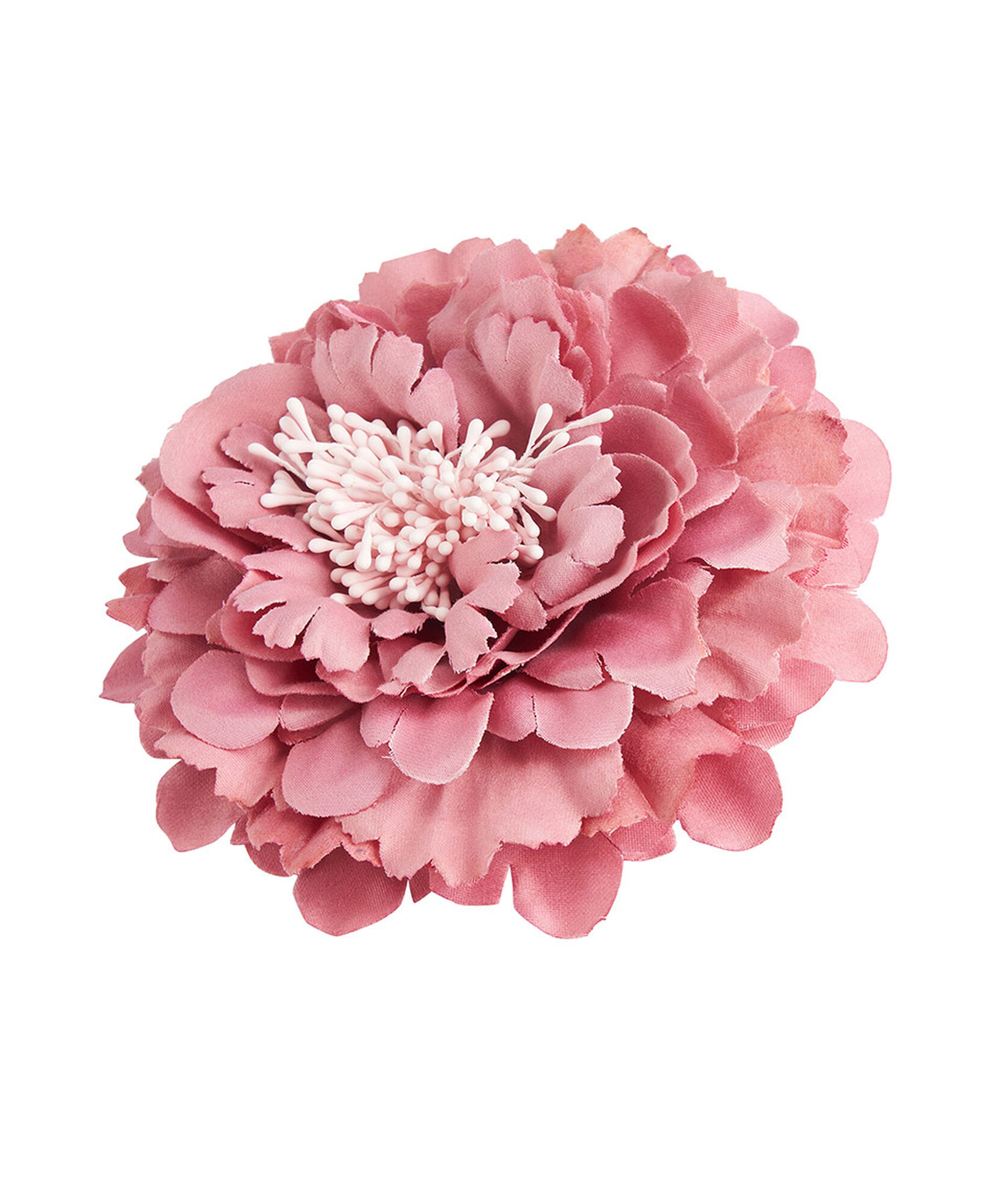 Pinche mujer flor rosada Pinche mujer flor rosada