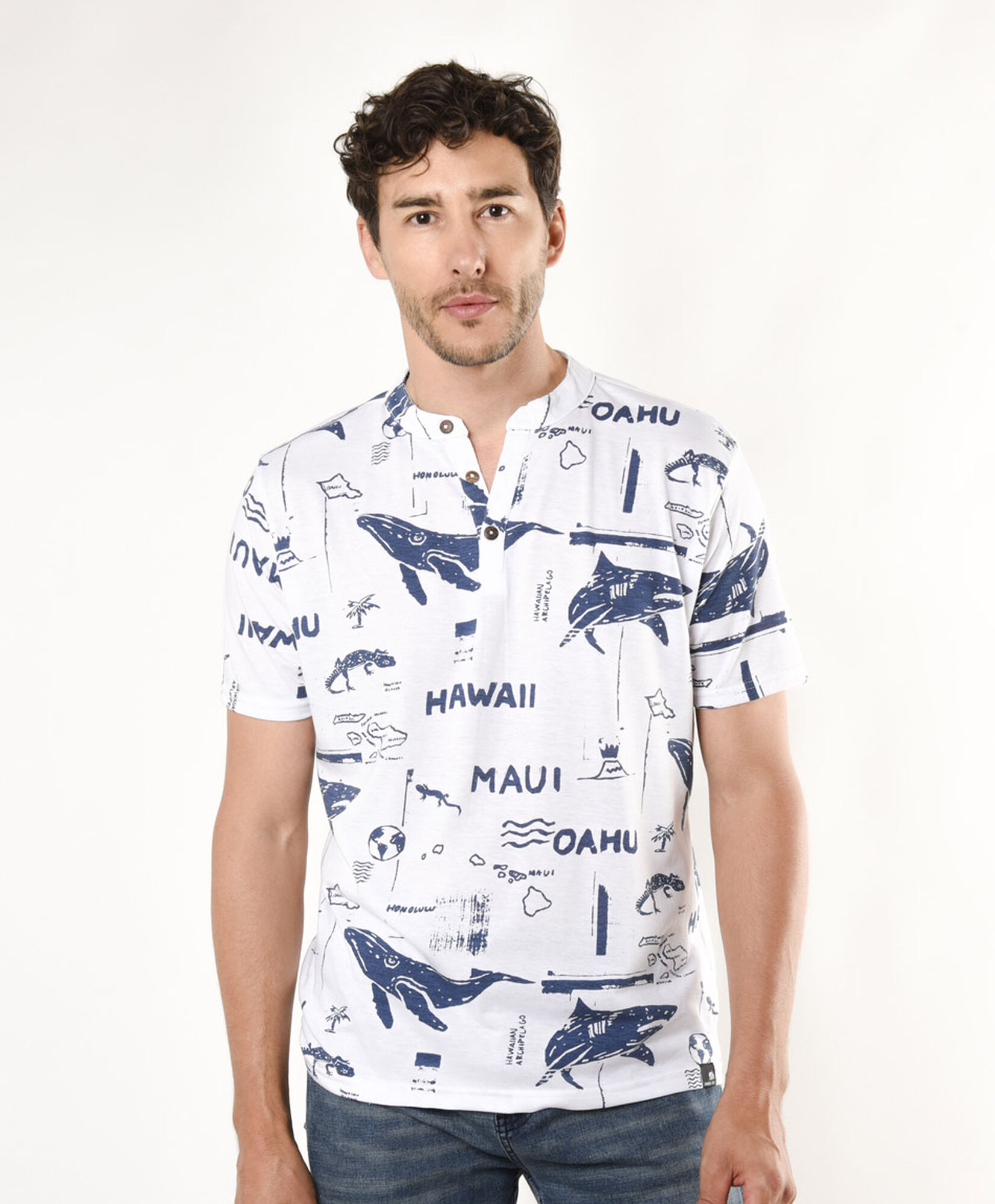Polera hombre hawaii Polera hombre hawaii